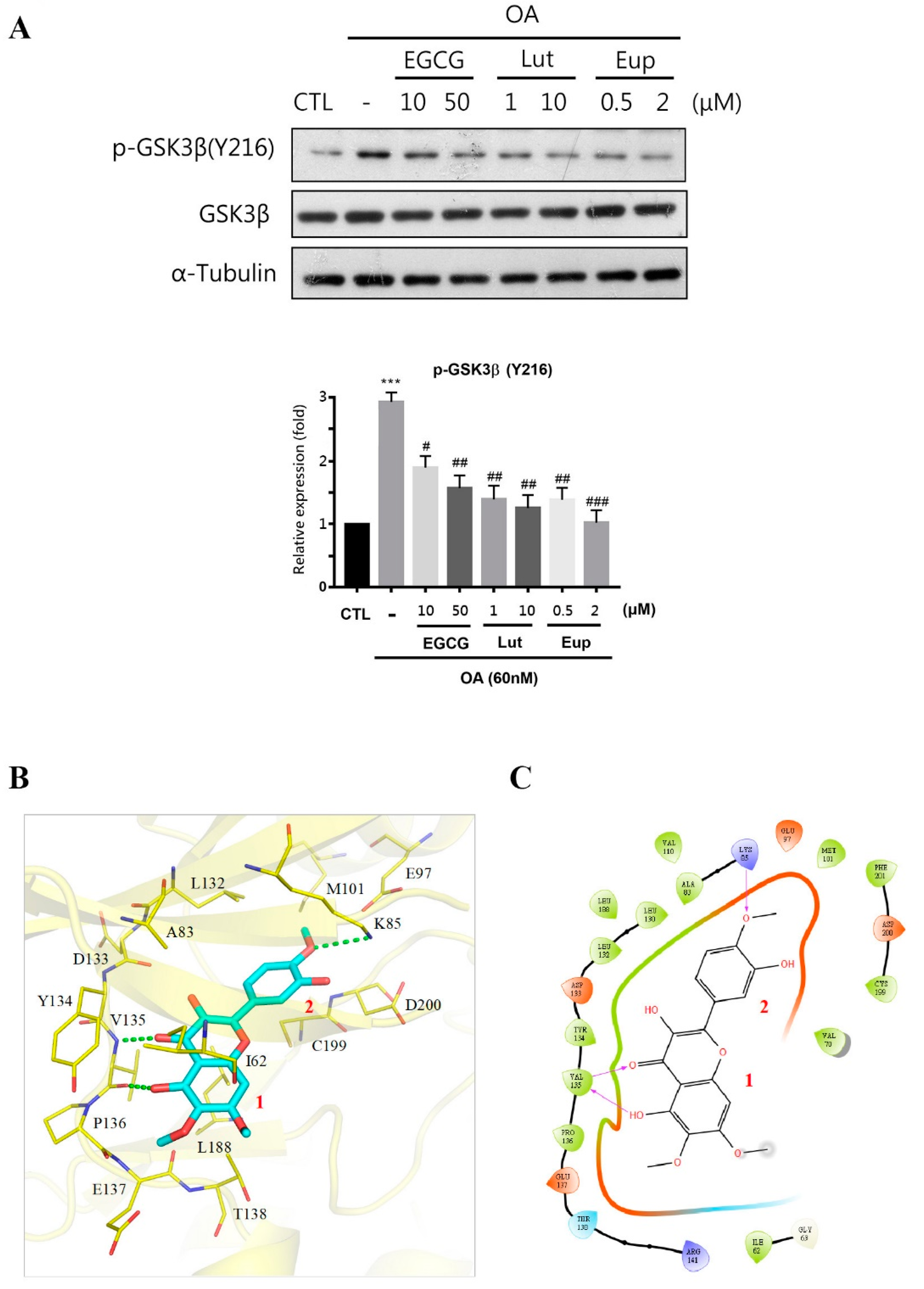 Molecules 25 05652 g006 Molecules 25 05652 g006