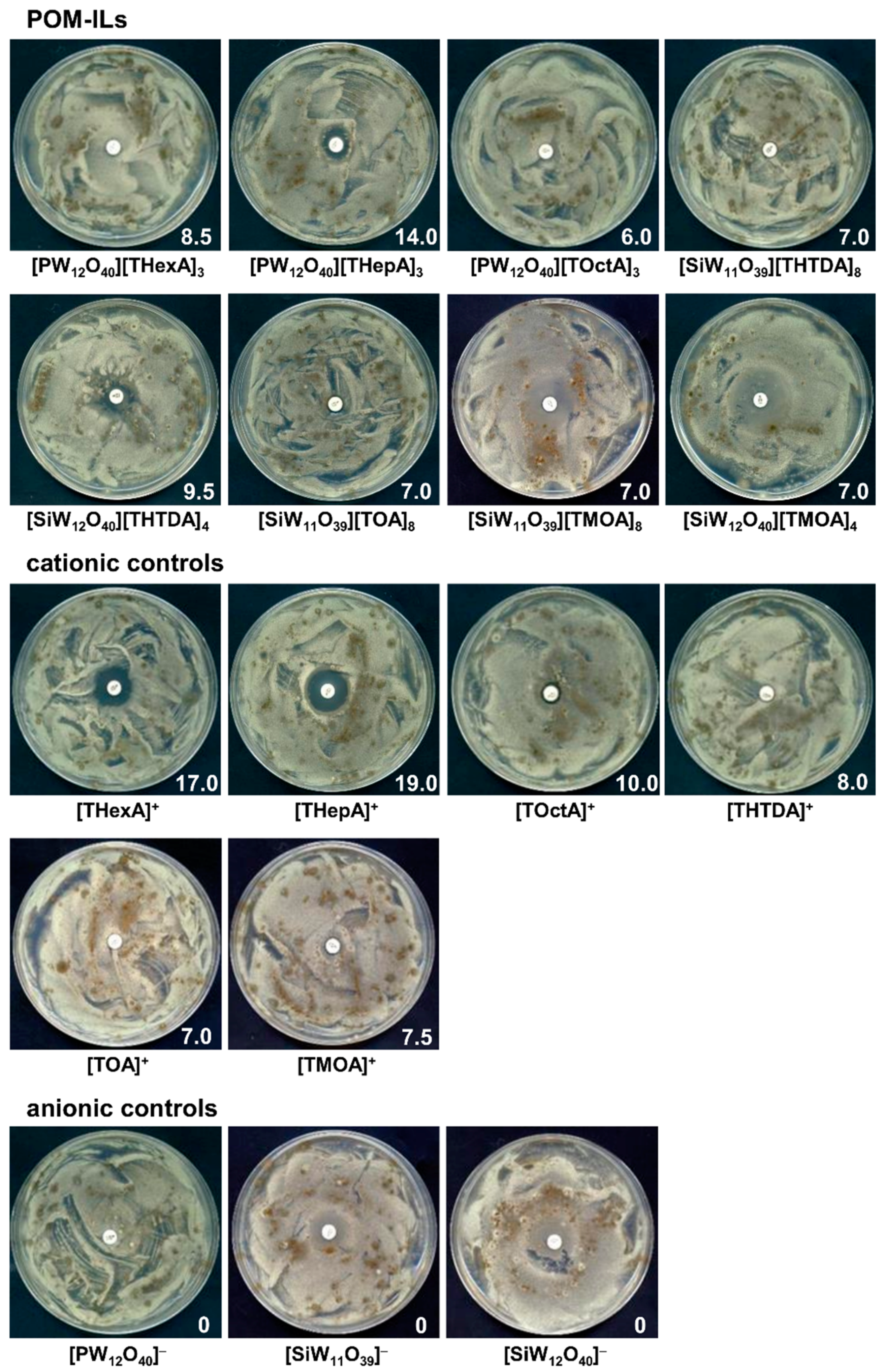 Molecules 25 05663 g001 Molecules 25 05663 g001