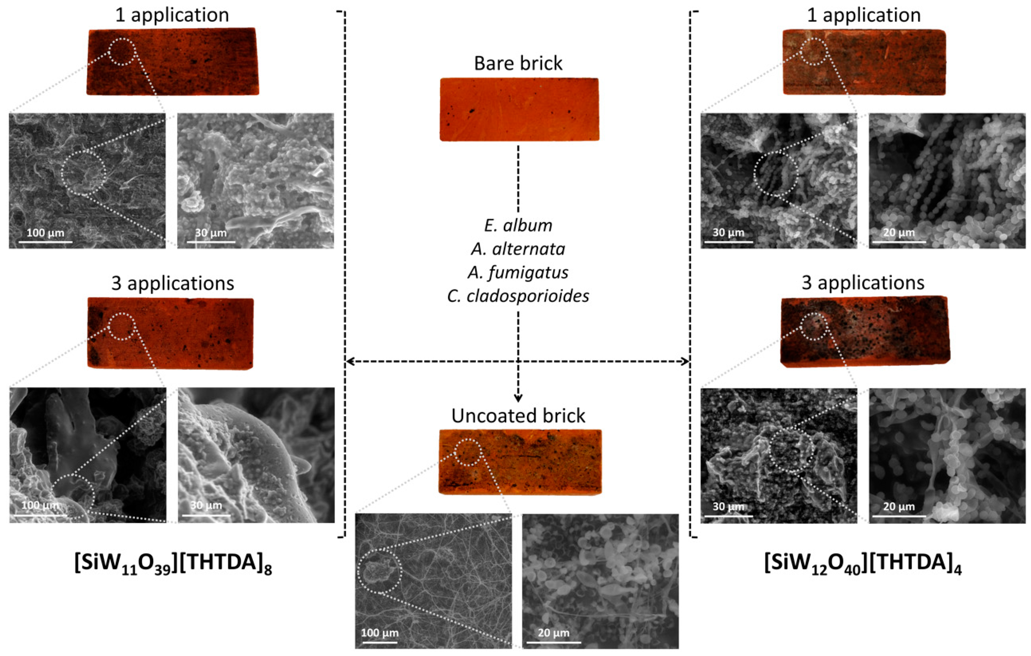 Molecules 25 05663 g003 Molecules 25 05663 g003