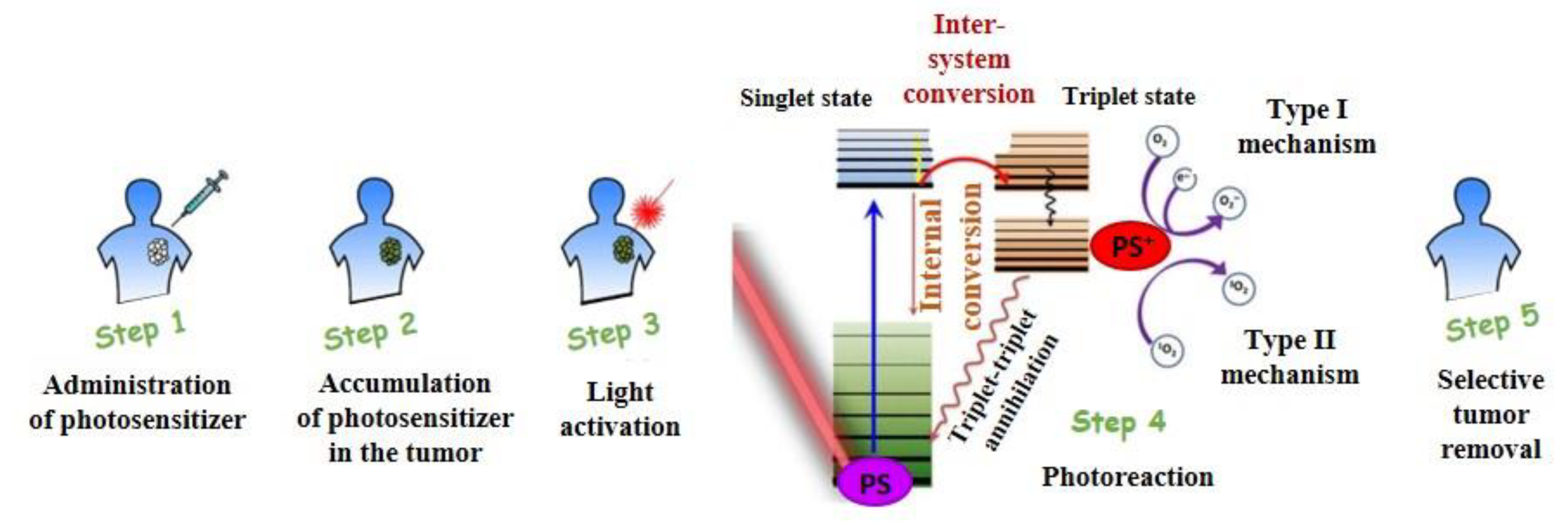 Molecules 25 05666 g001