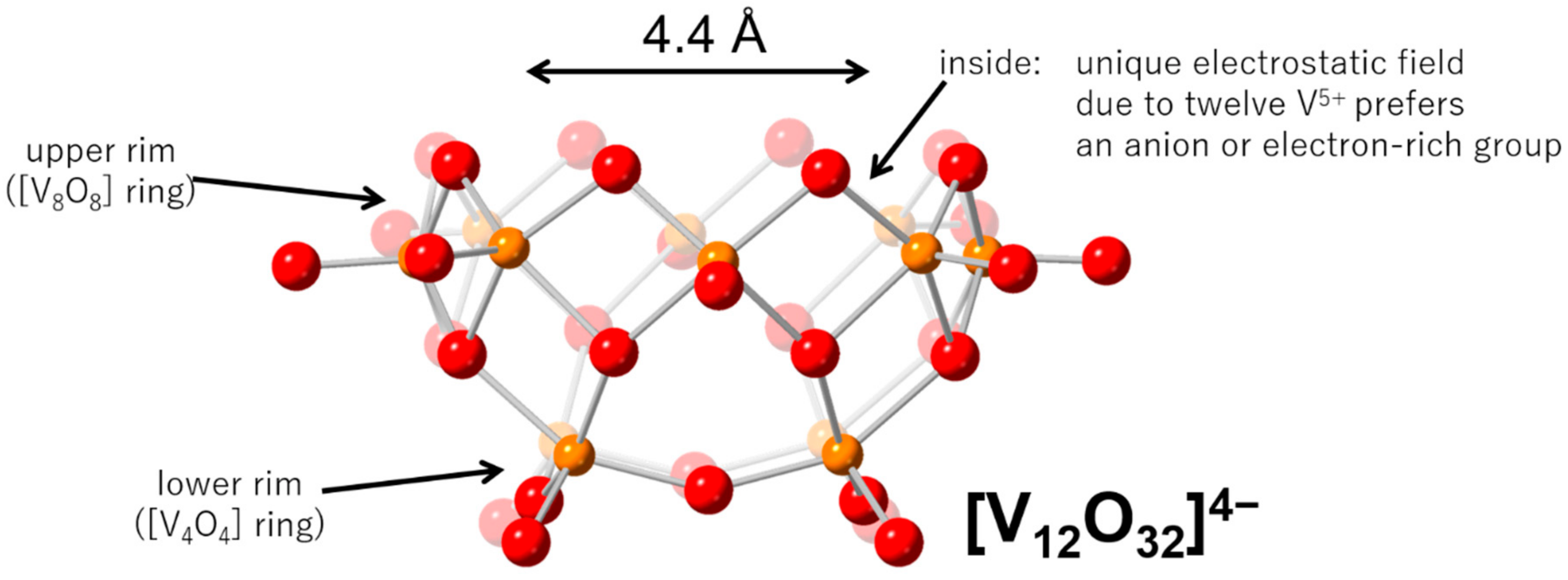 Molecules 25 05670 g001 Molecules 25 05670 g001