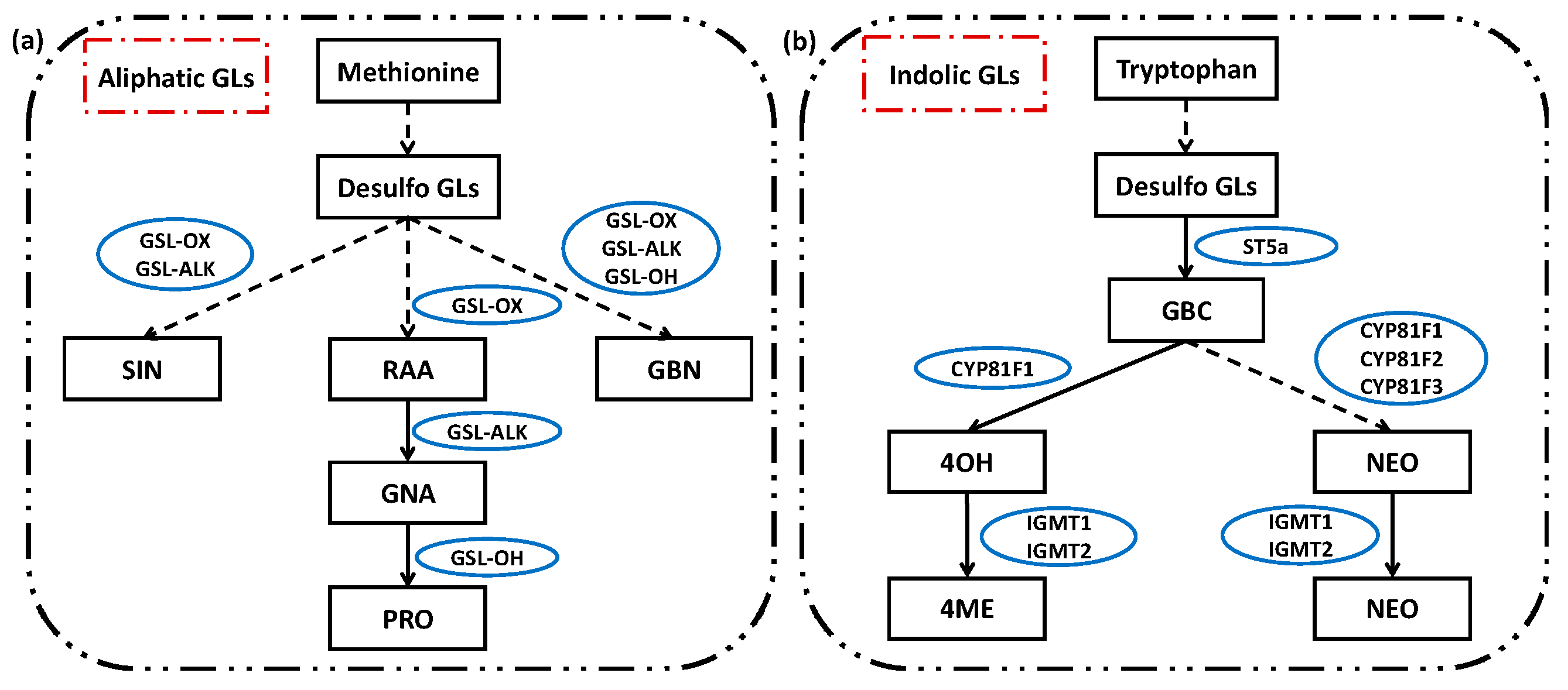 Molecules 25 05678 g007 Molecules 25 05678 g007