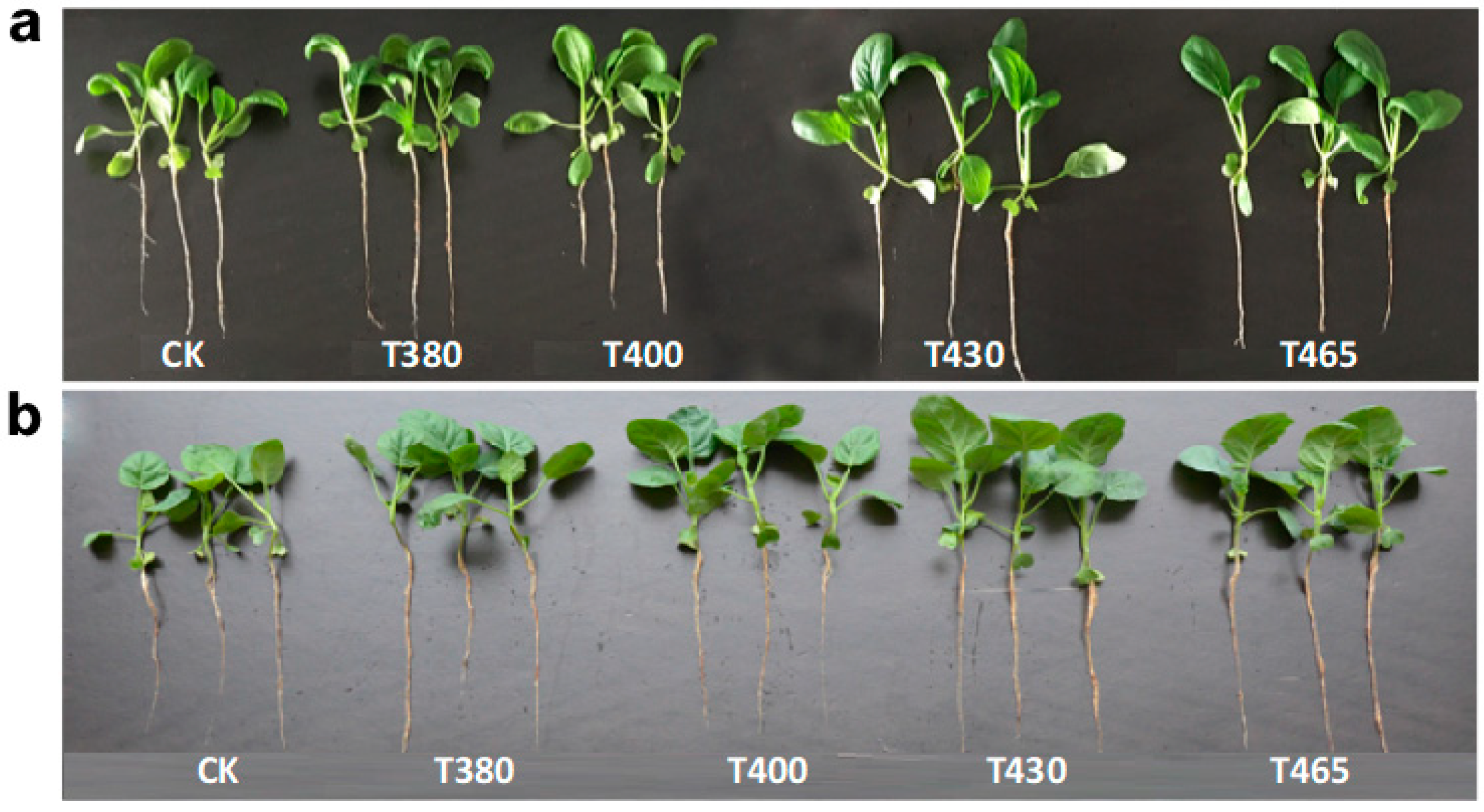 Molecules 25 05678 g009 Molecules 25 05678 g009