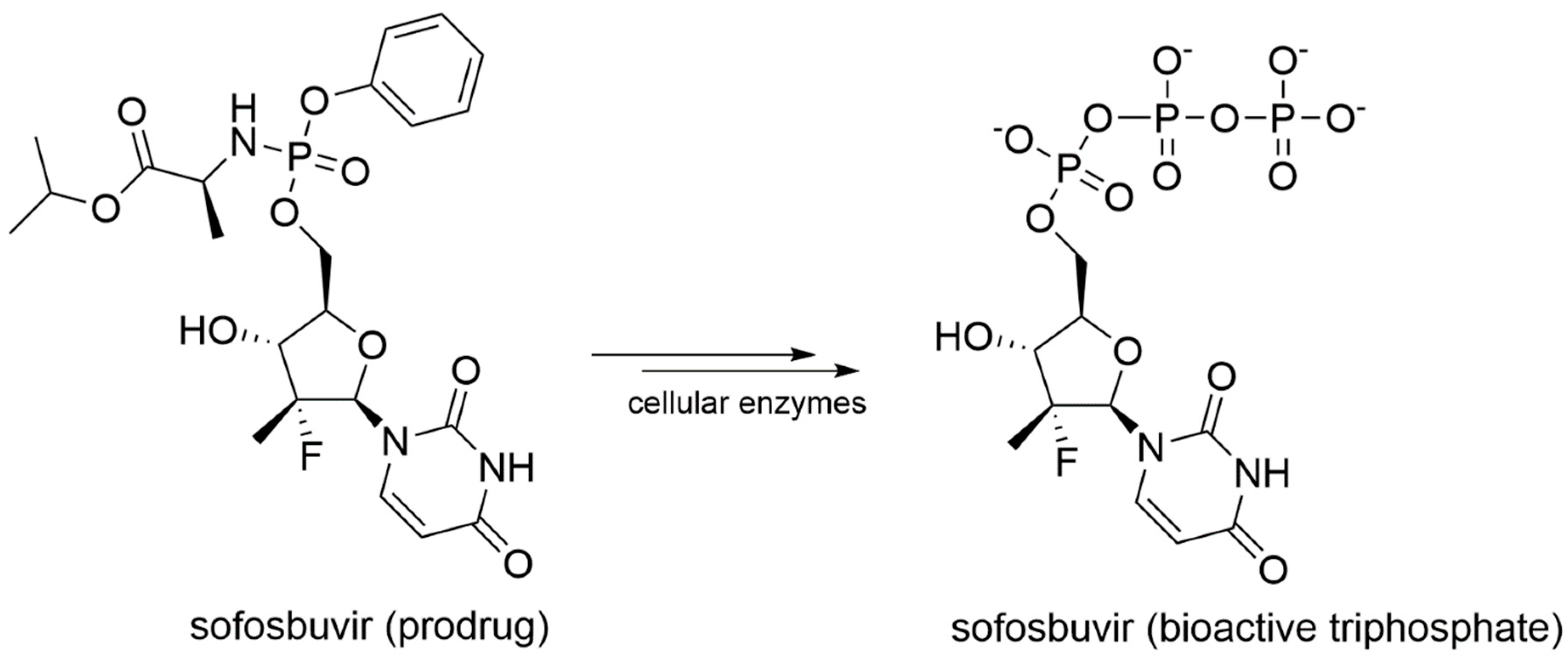 Molecules Free Full Text Targeting The Rdrp Of Emerging Rna Viruses The Structure Based Drug Design Challenge Html