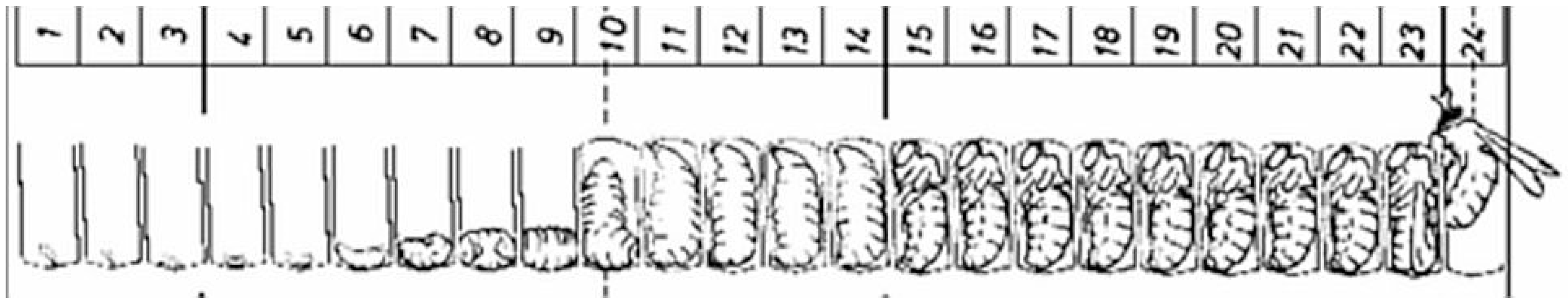 Molecules 25 05699 g001