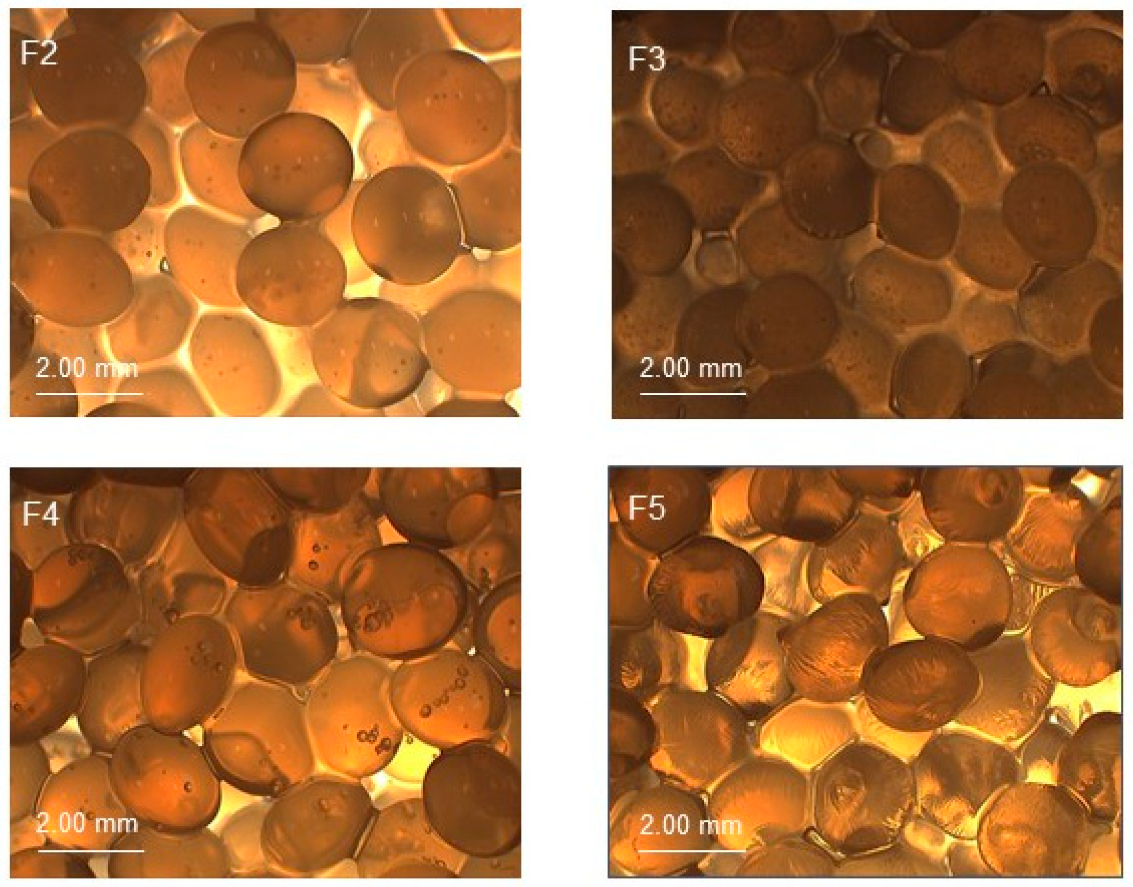 Molecules 25 05711 g001