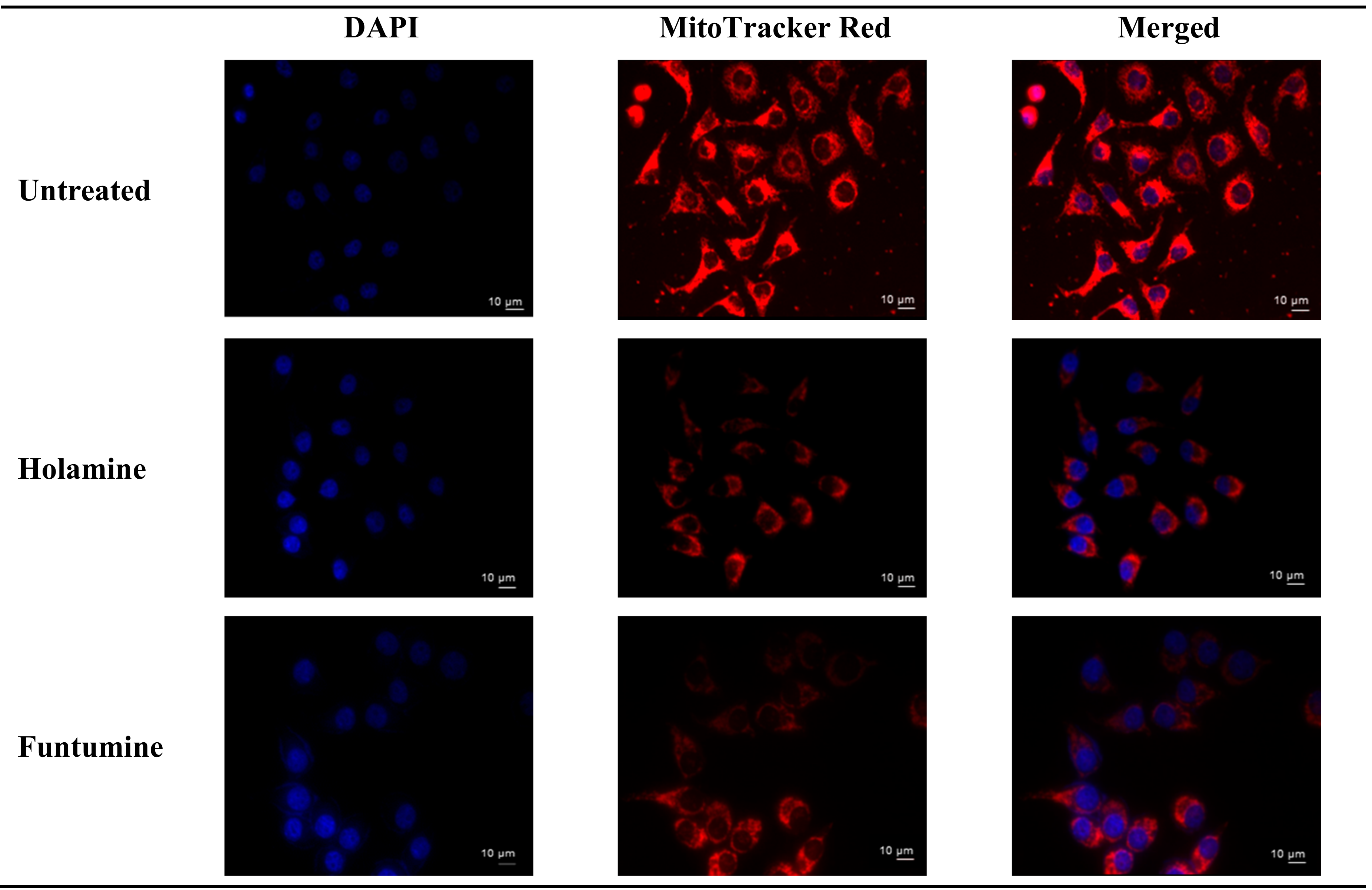 Molecules 25 05716 g004