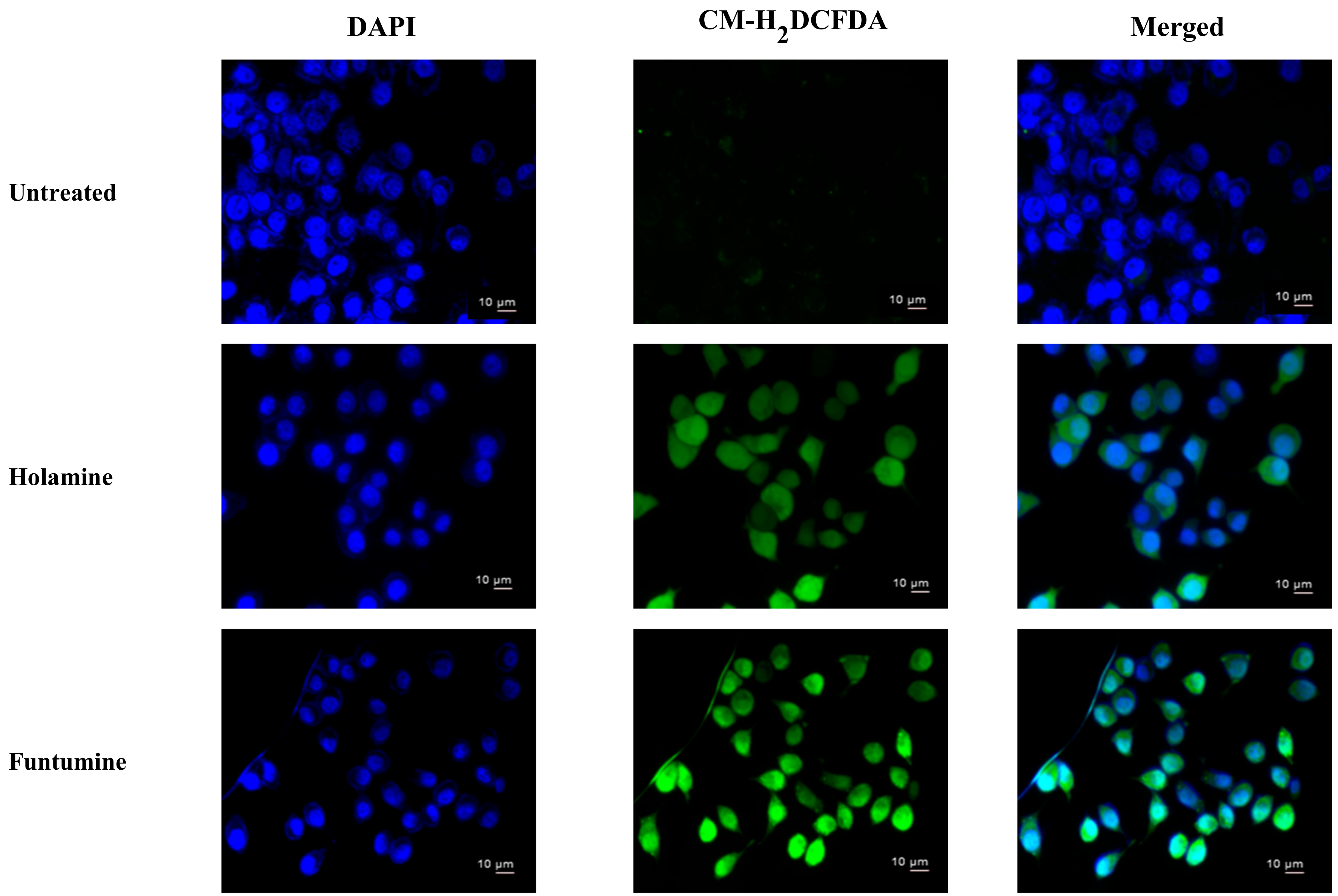 Molecules 25 05716 g008