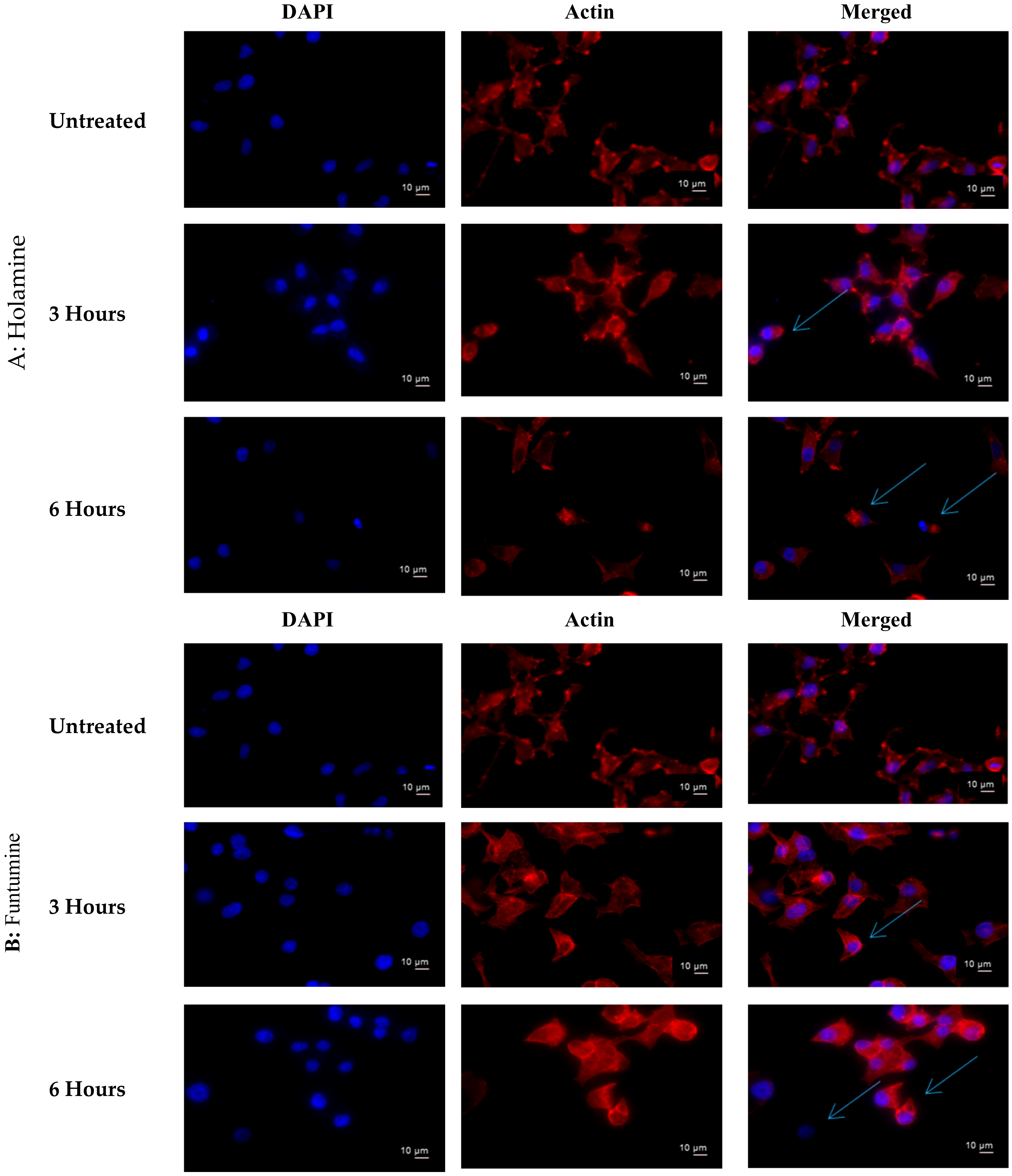 Molecules 25 05716 g009