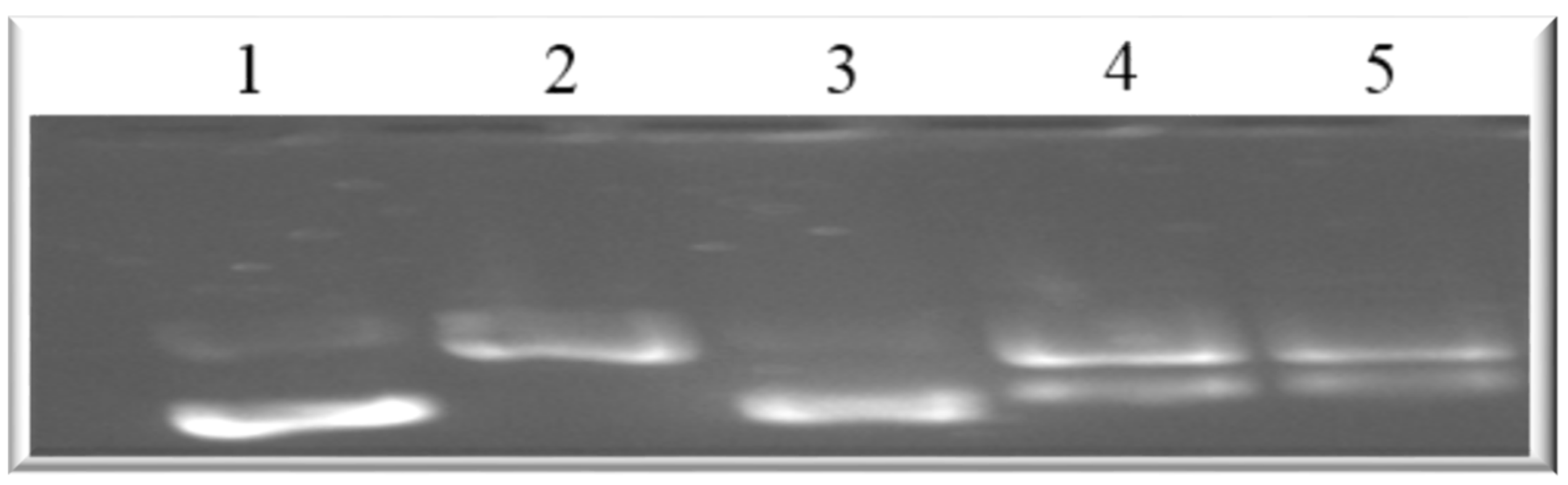 Molecules 25 05716 g010
