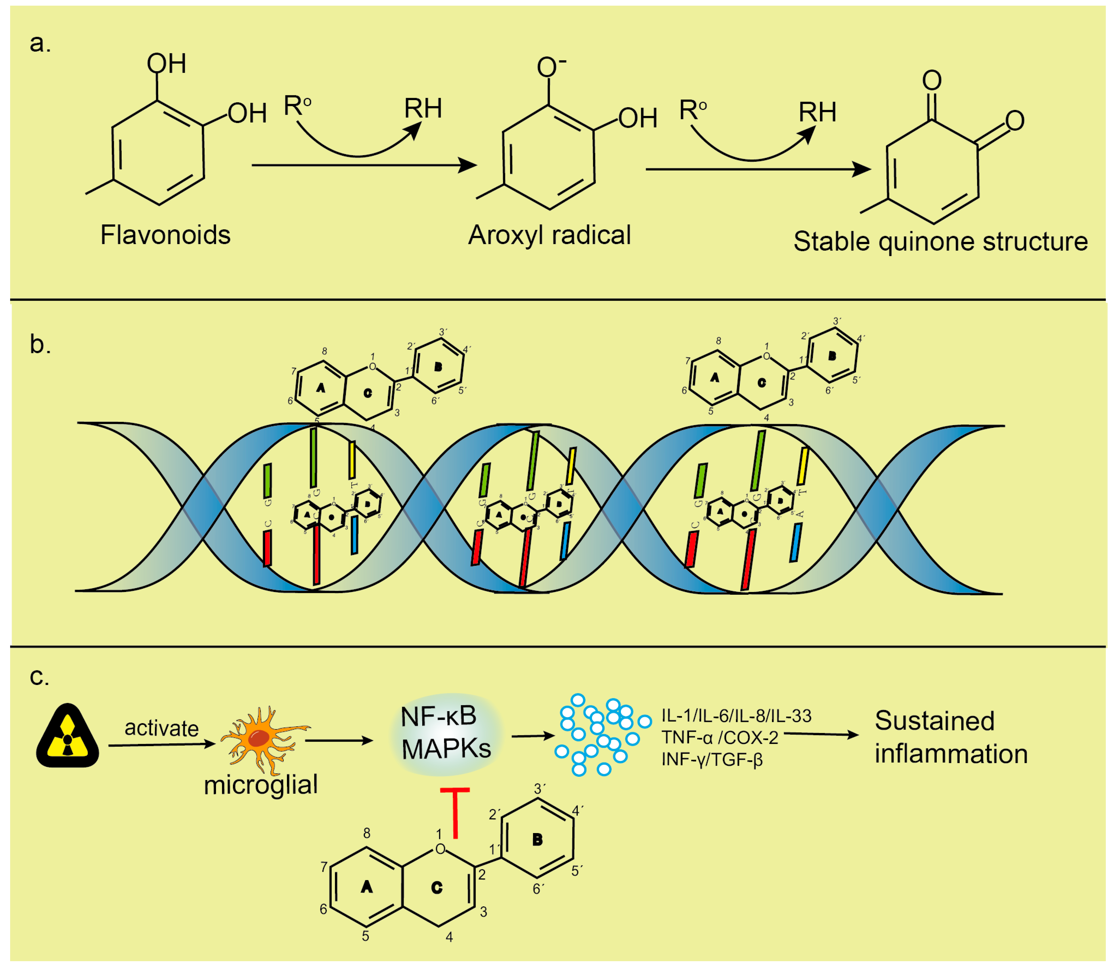 Molecules 25 05719 g004 Molecules 25 05719 g004
