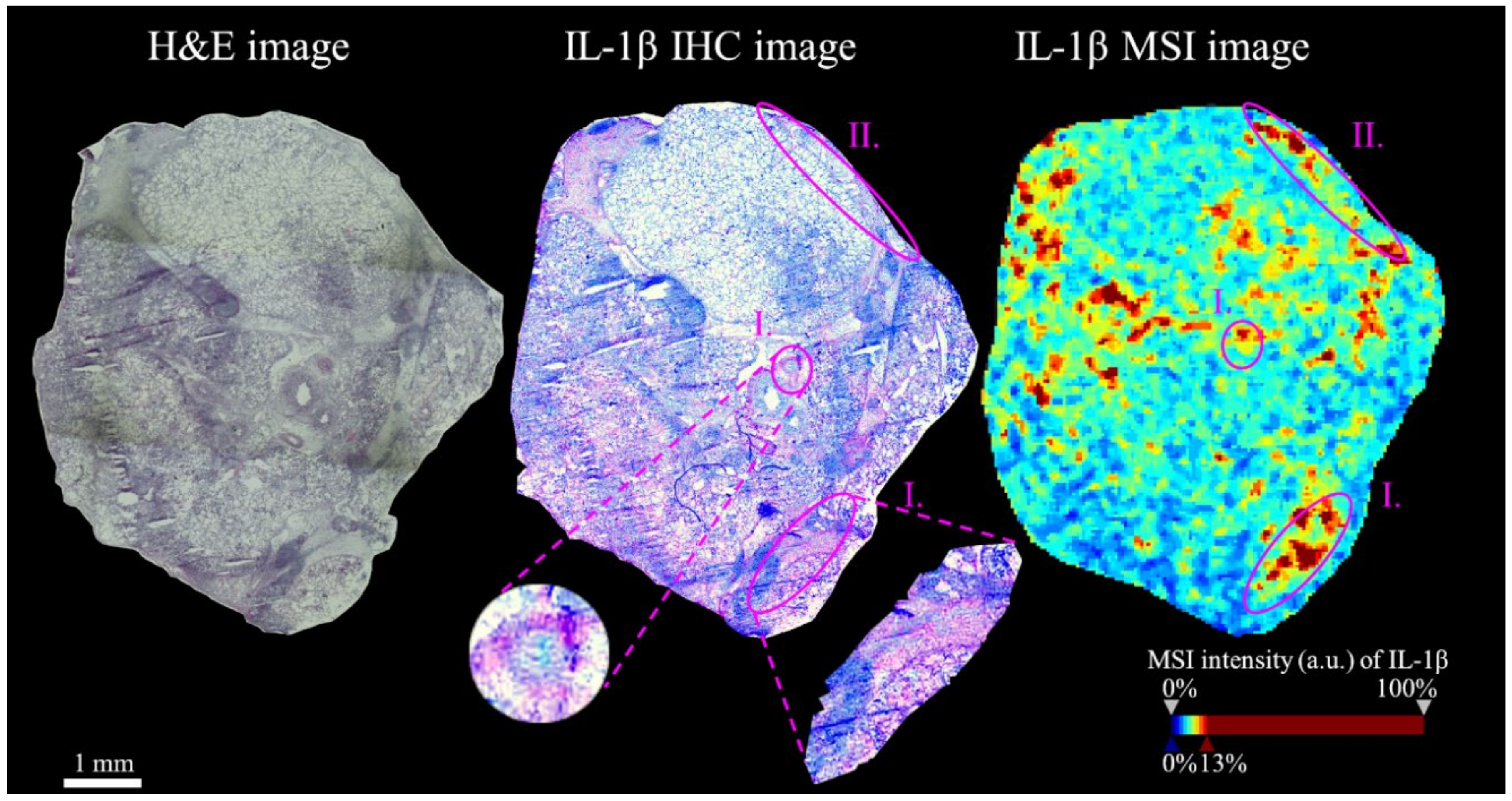 Molecules 25 05723 g001 Molecules 25 05723 g001
