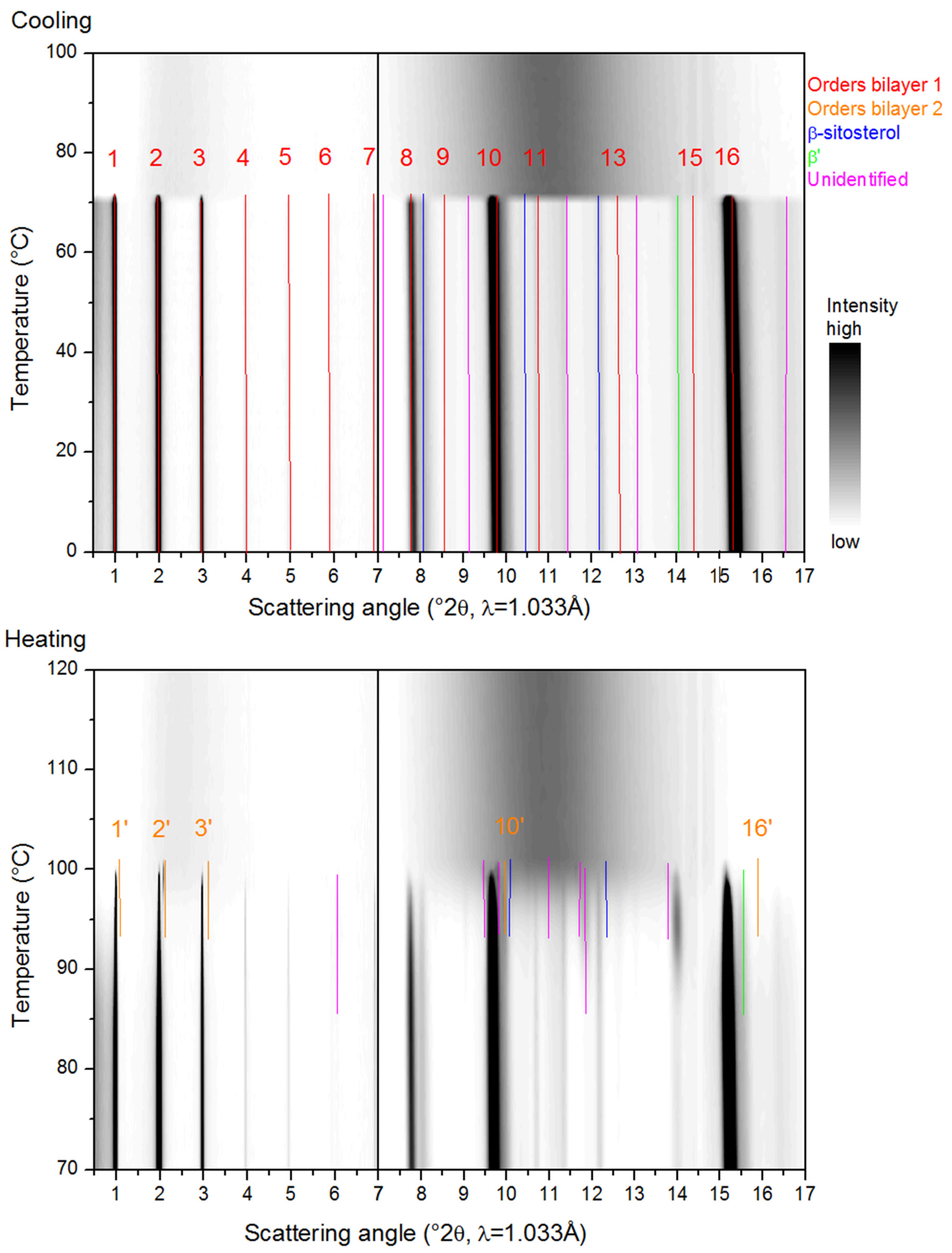 Molecules 25 05727 g003