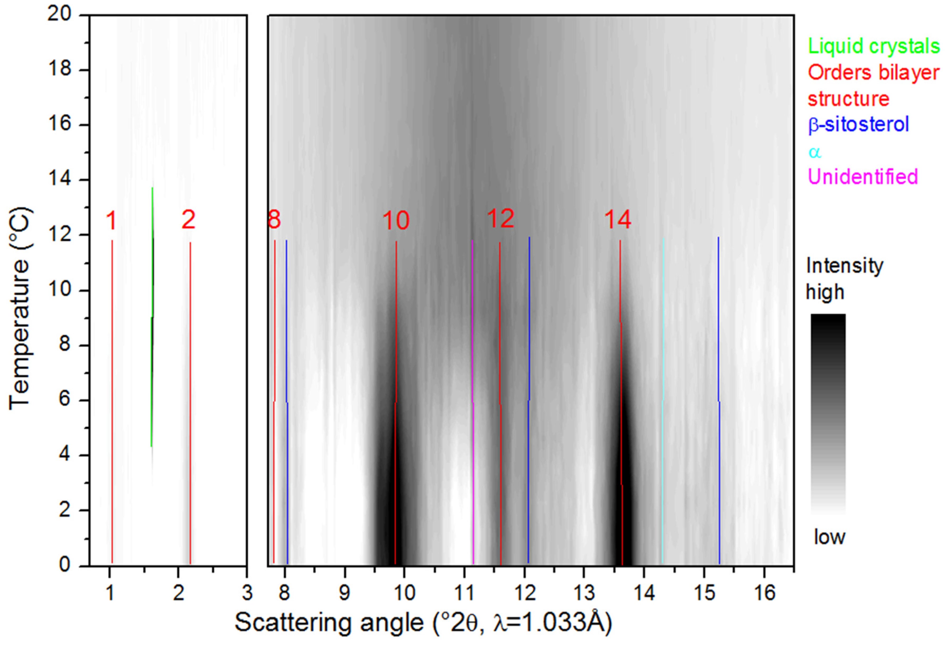 Molecules 25 05727 g006