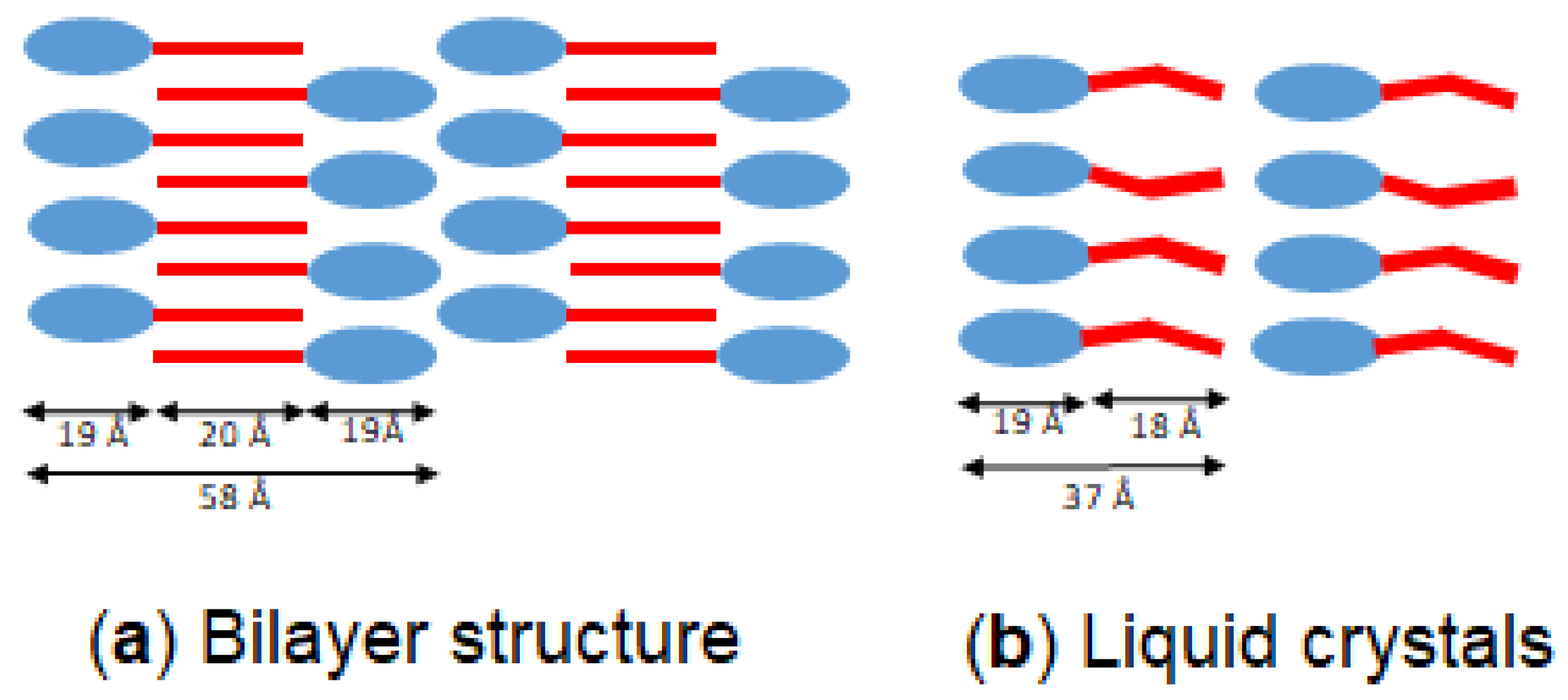 Molecules 25 05727 g010