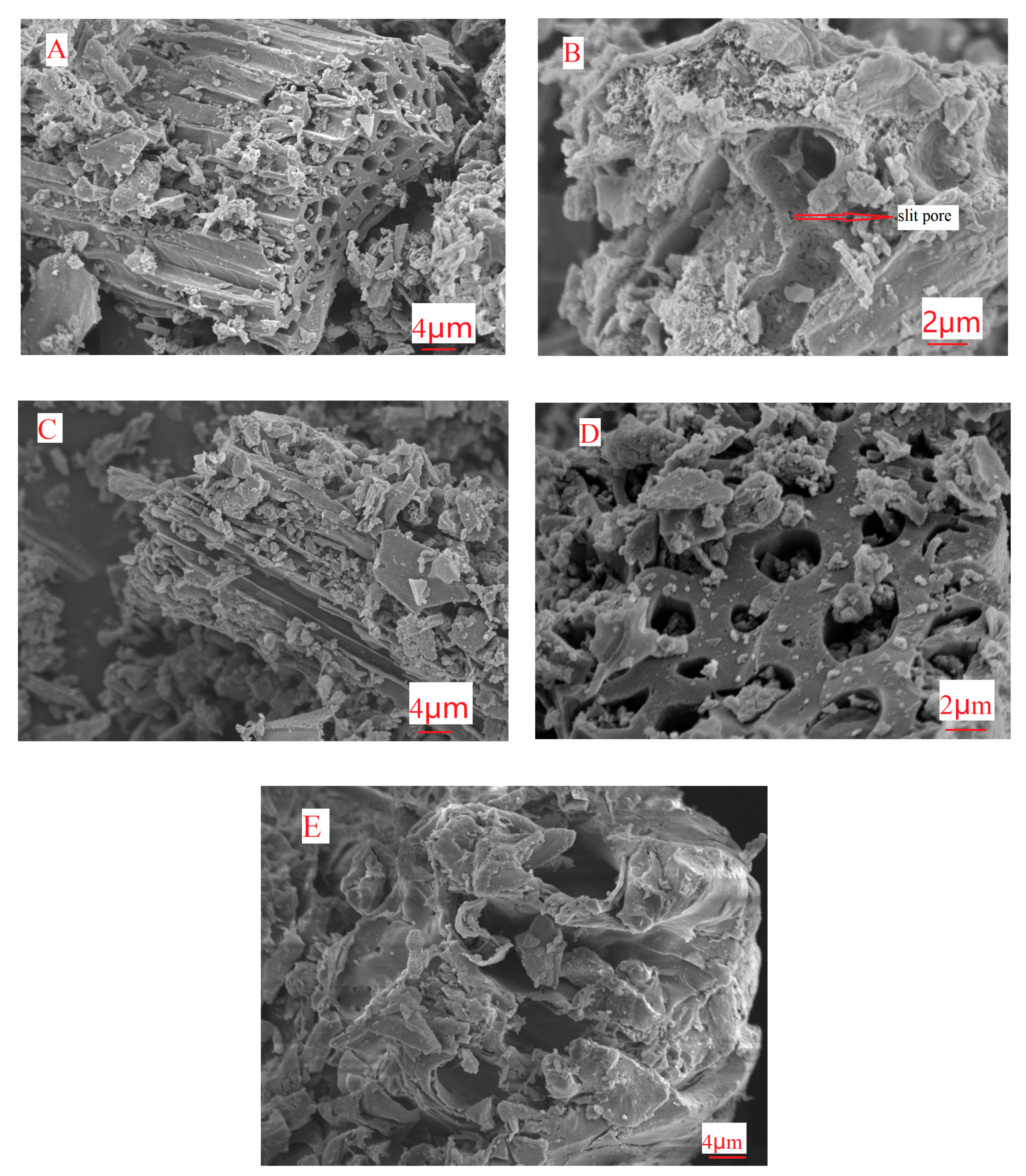 Molecules 25 05730 g003 Molecules 25 05730 g003