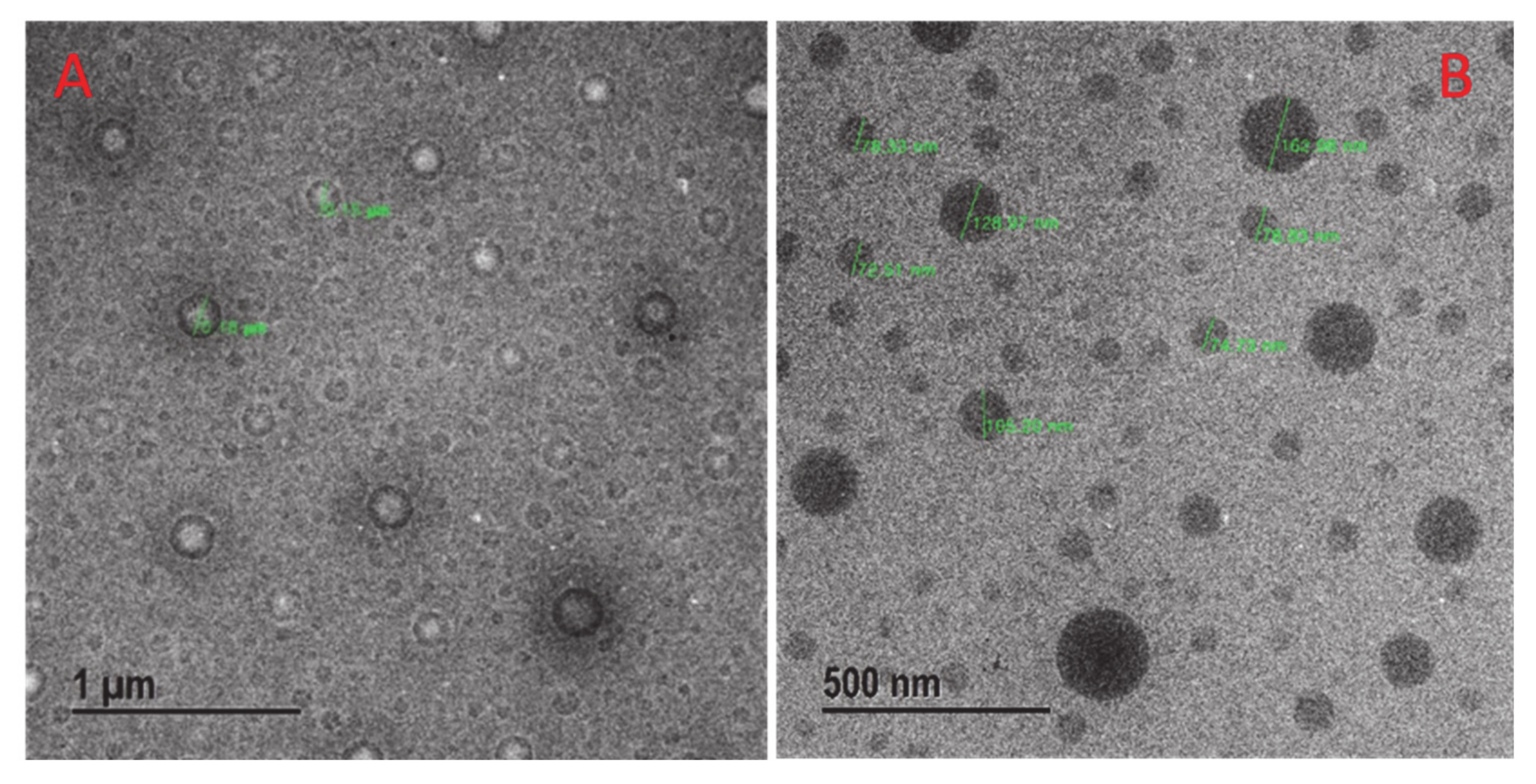 Molecules 25 05733 g002 Molecules 25 05733 g002