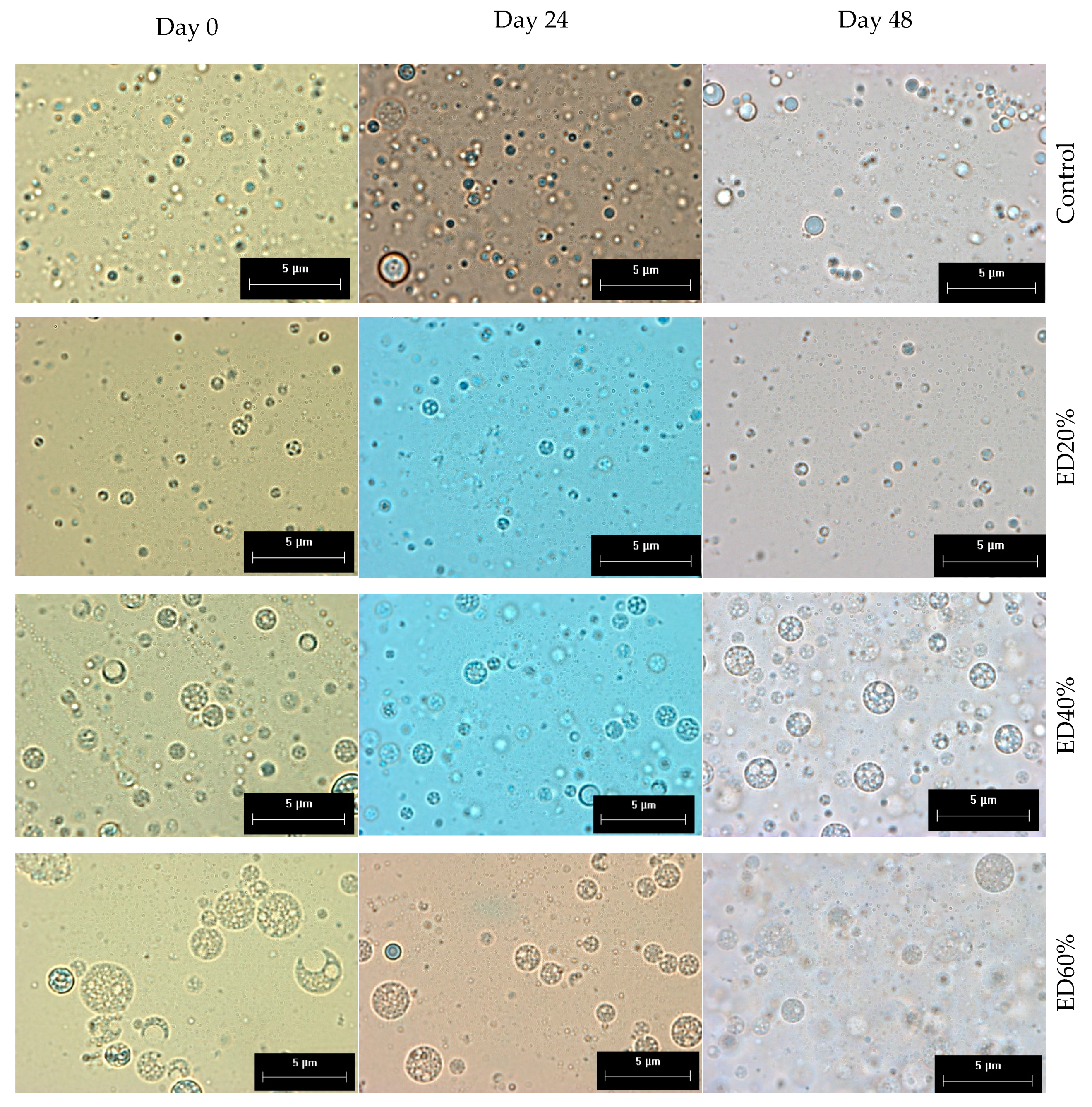 Molecules 25 05736 g001 Molecules 25 05736 g001