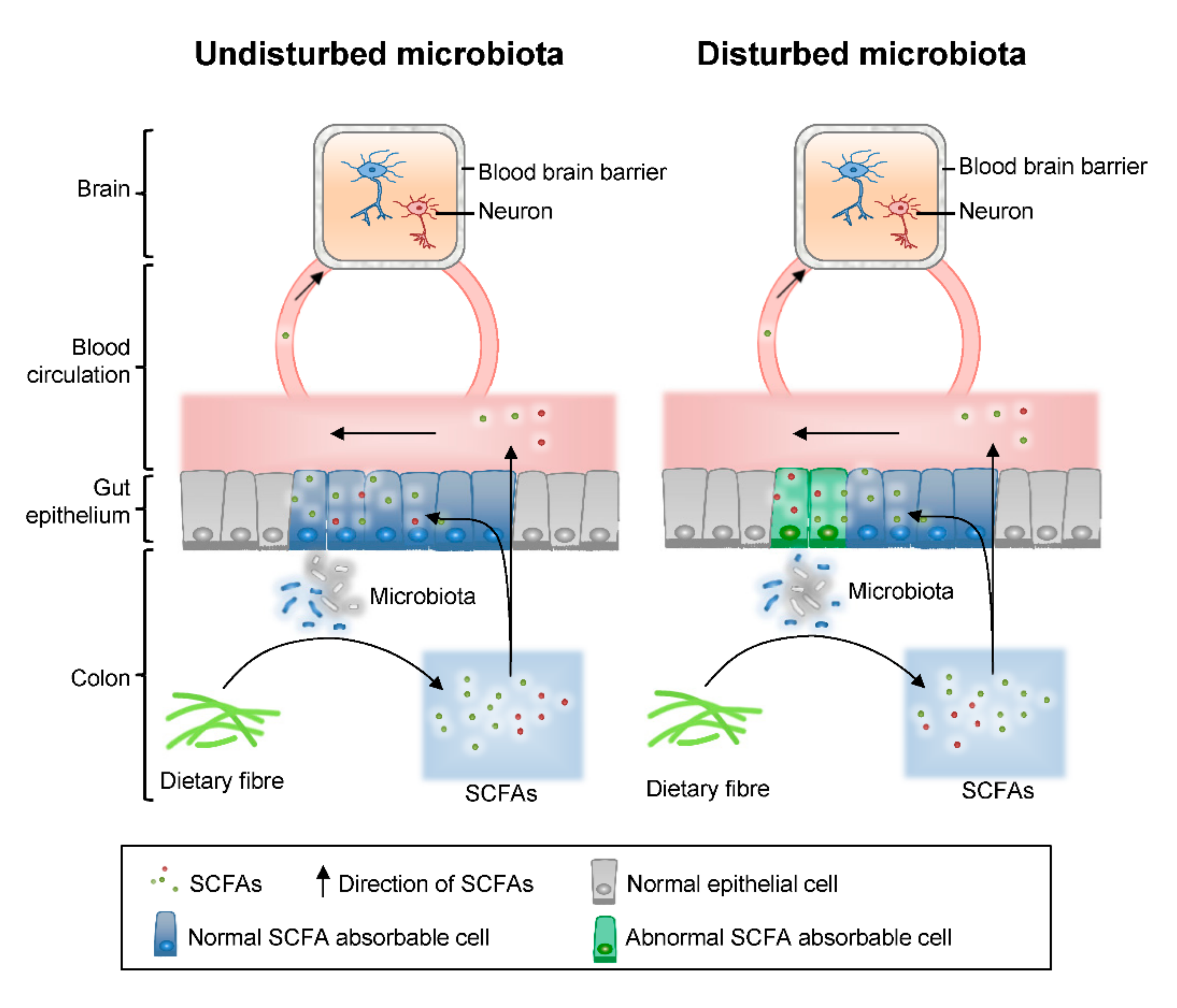 Molecules 25 05739 g005 Molecules 25 05739 g005