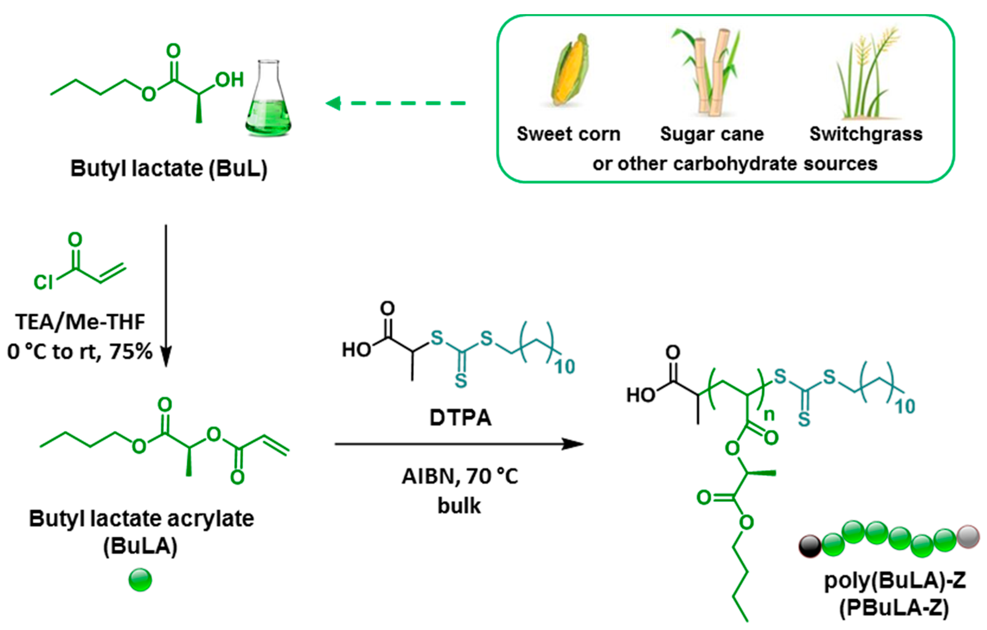 Molecules 25 05740 g001 Molecules 25 05740 g001