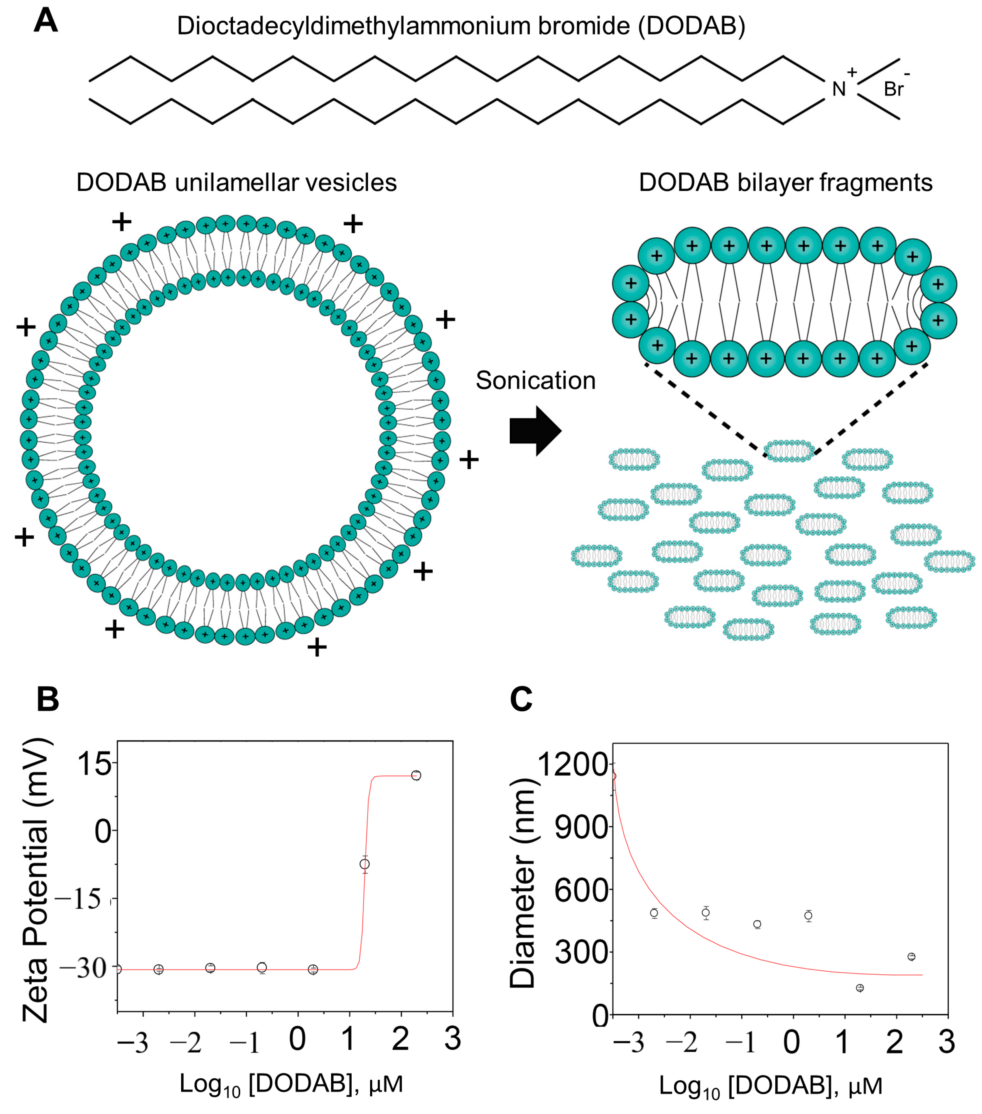 Molecules 25 05741 g001 Molecules 25 05741 g001