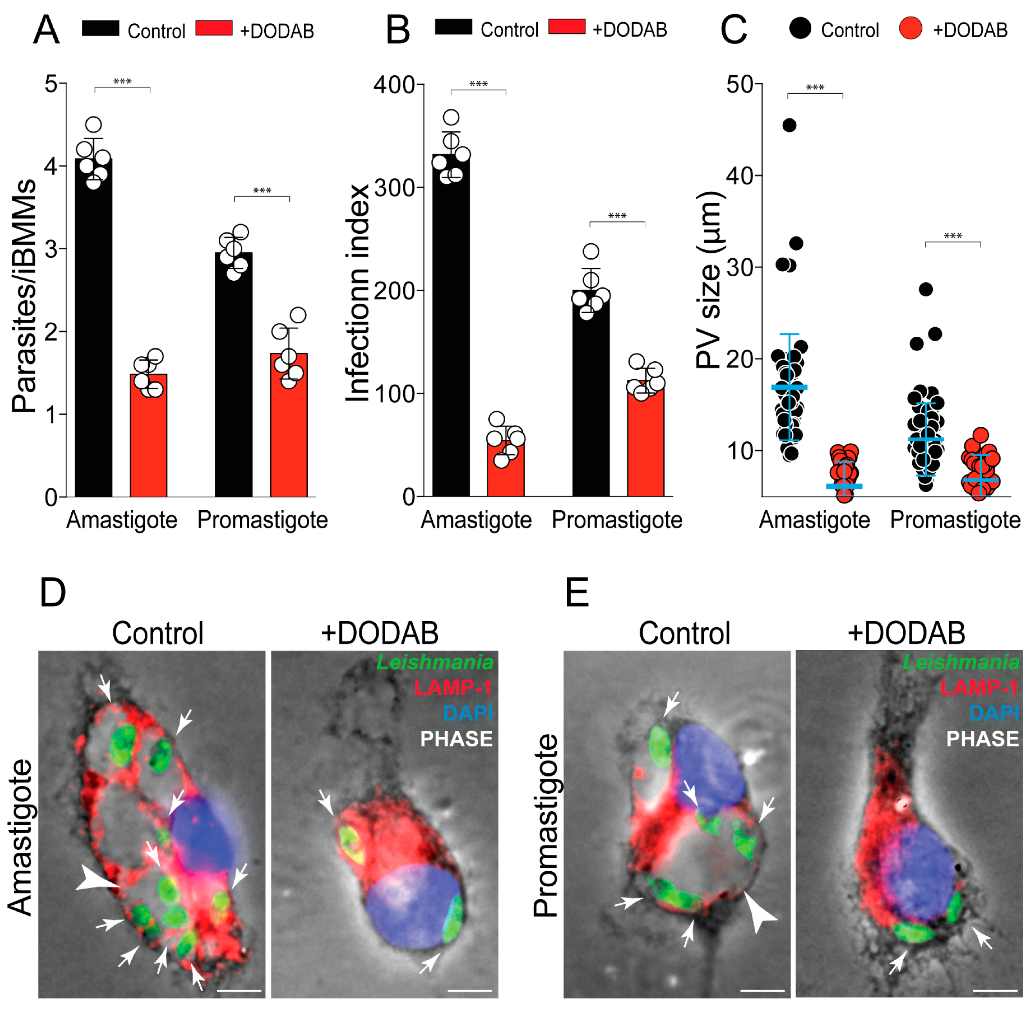 Molecules 25 05741 g004 Molecules 25 05741 g004
