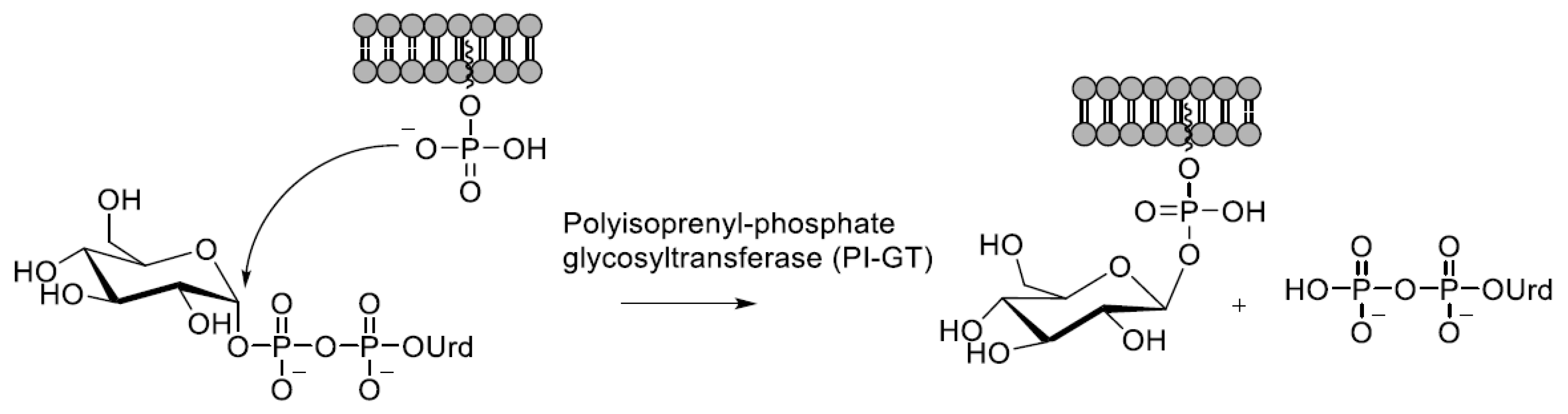 Molecules 25 05755 sch002