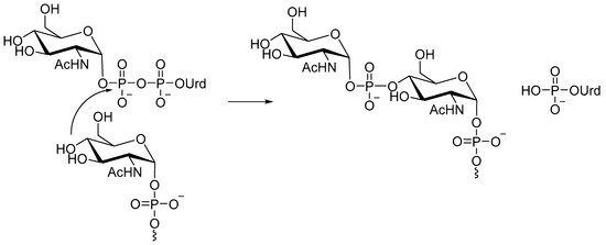 Molecules | Free Full-Text | Nucleotide Sugars in Chemistry and Biology