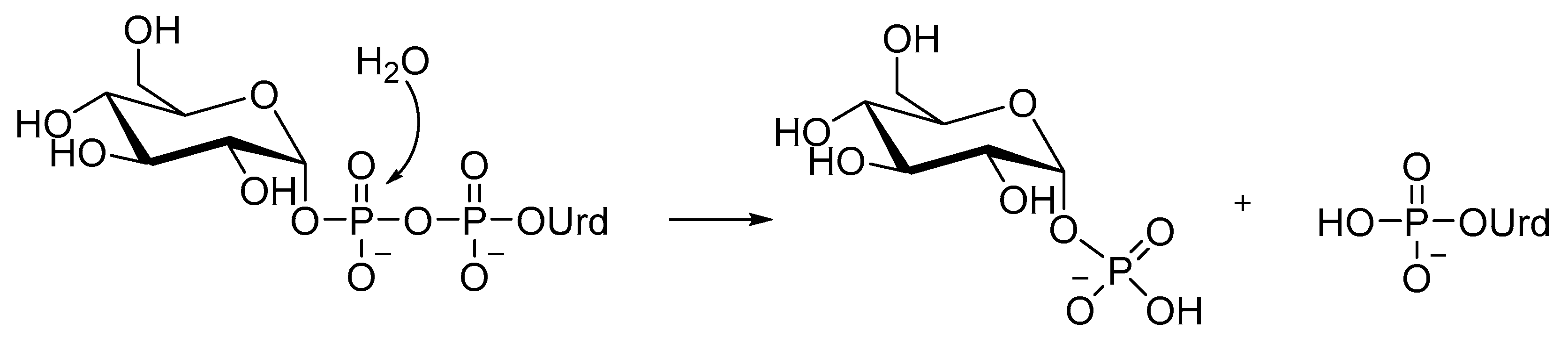Molecules 25 05755 sch005