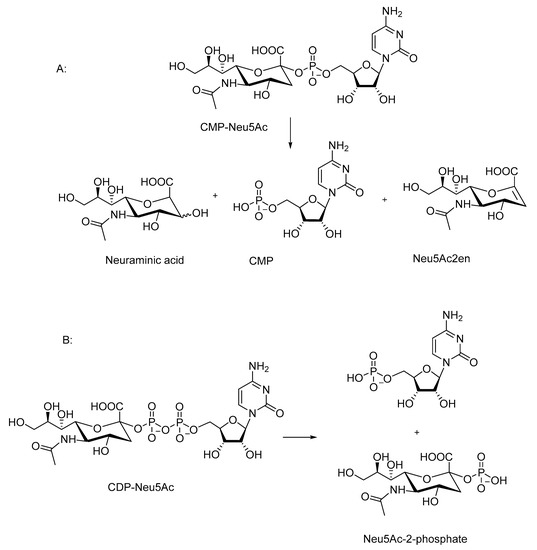 Molecules 25 05755 sch007 550