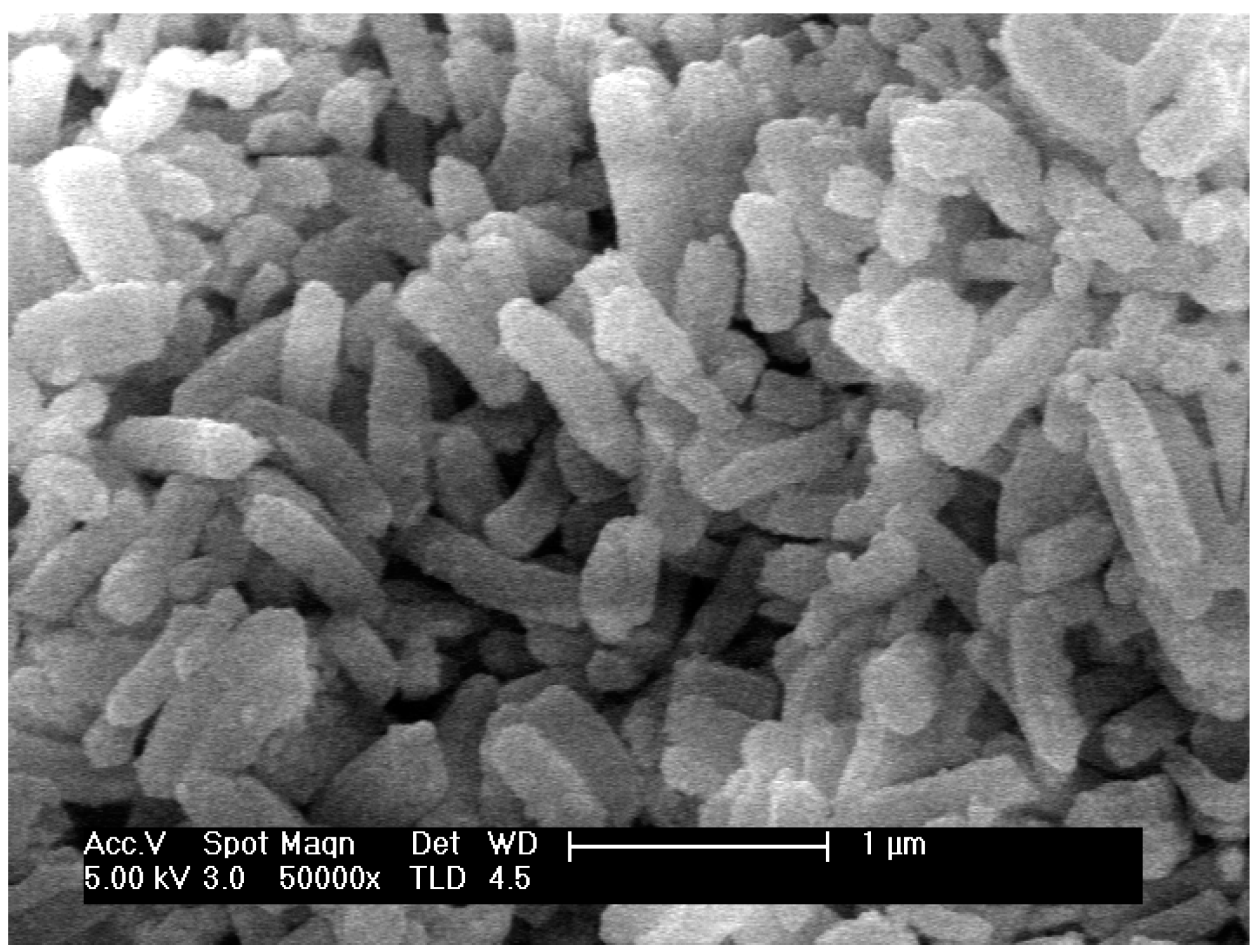 Molecules 25 05756 g001