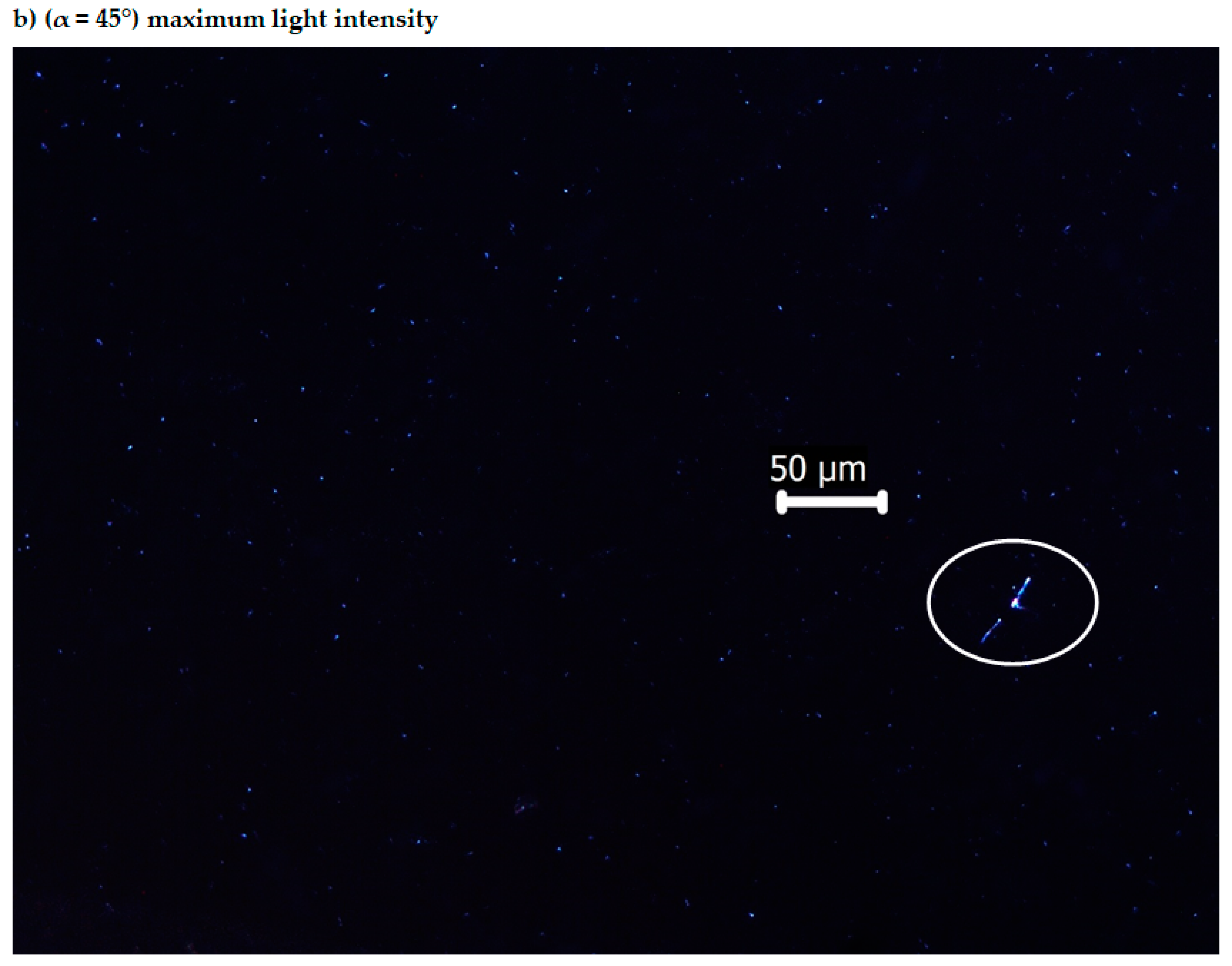Molecules 25 05757 g010b