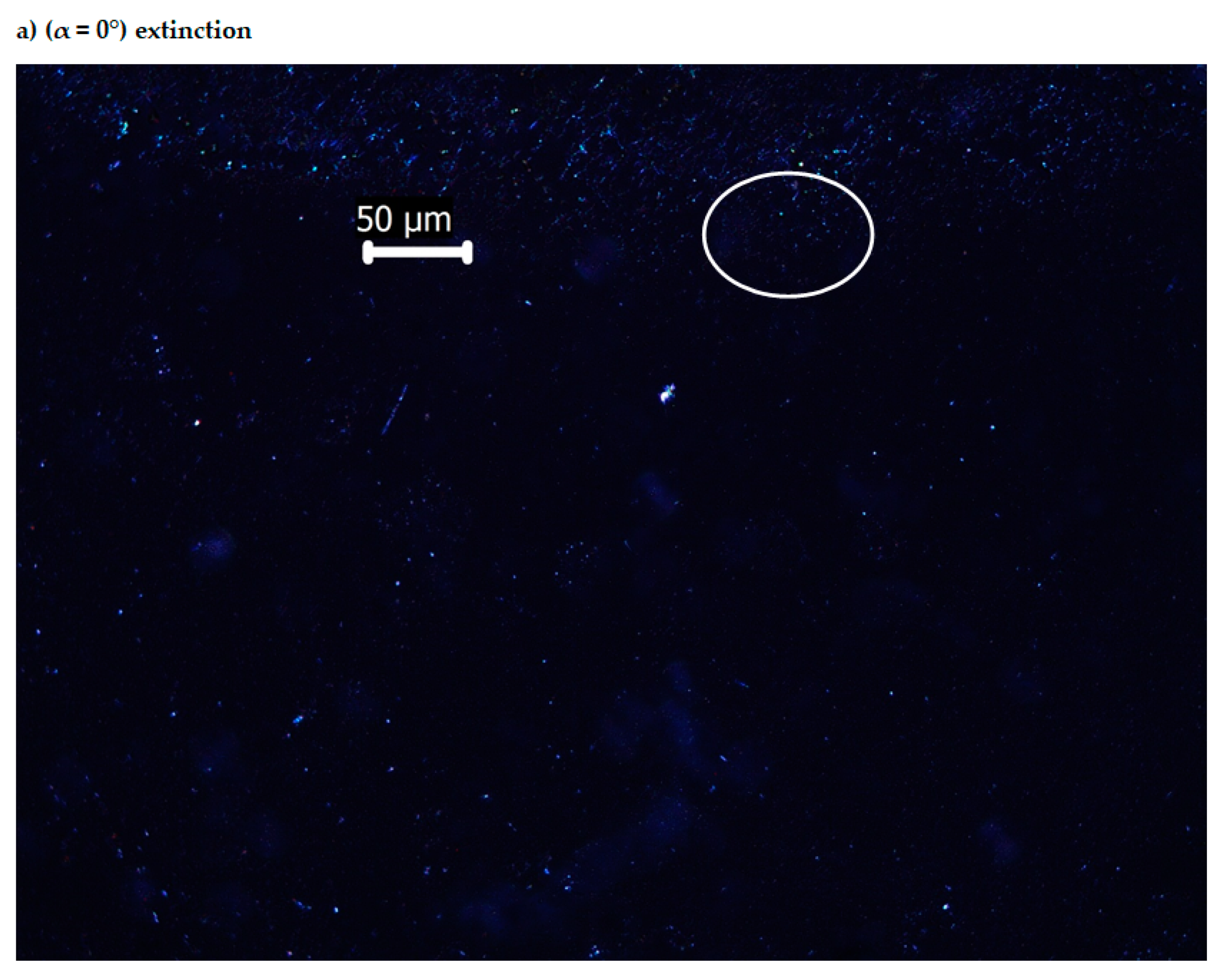 Molecules 25 05757 g011a