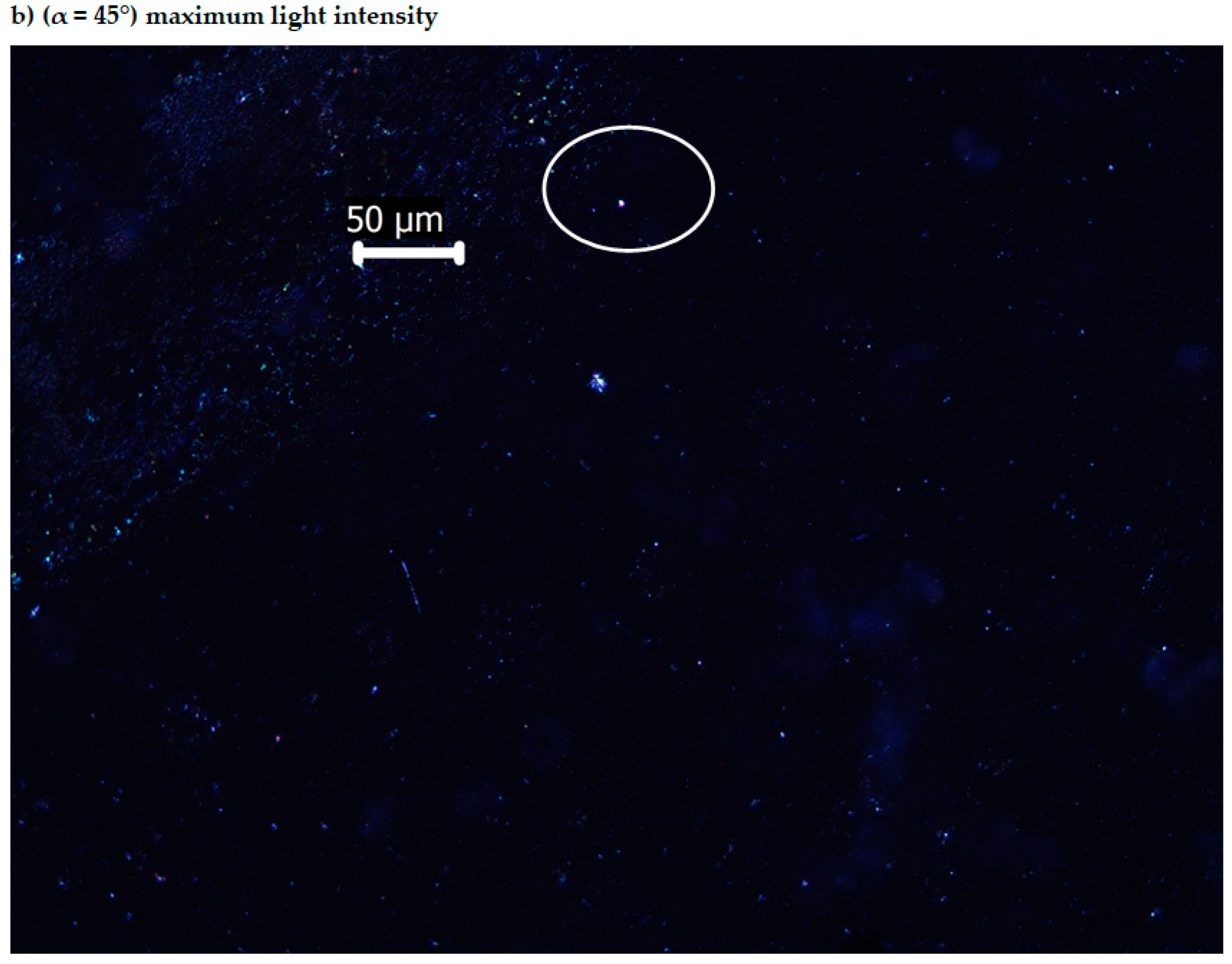 Molecules 25 05757 g011b
