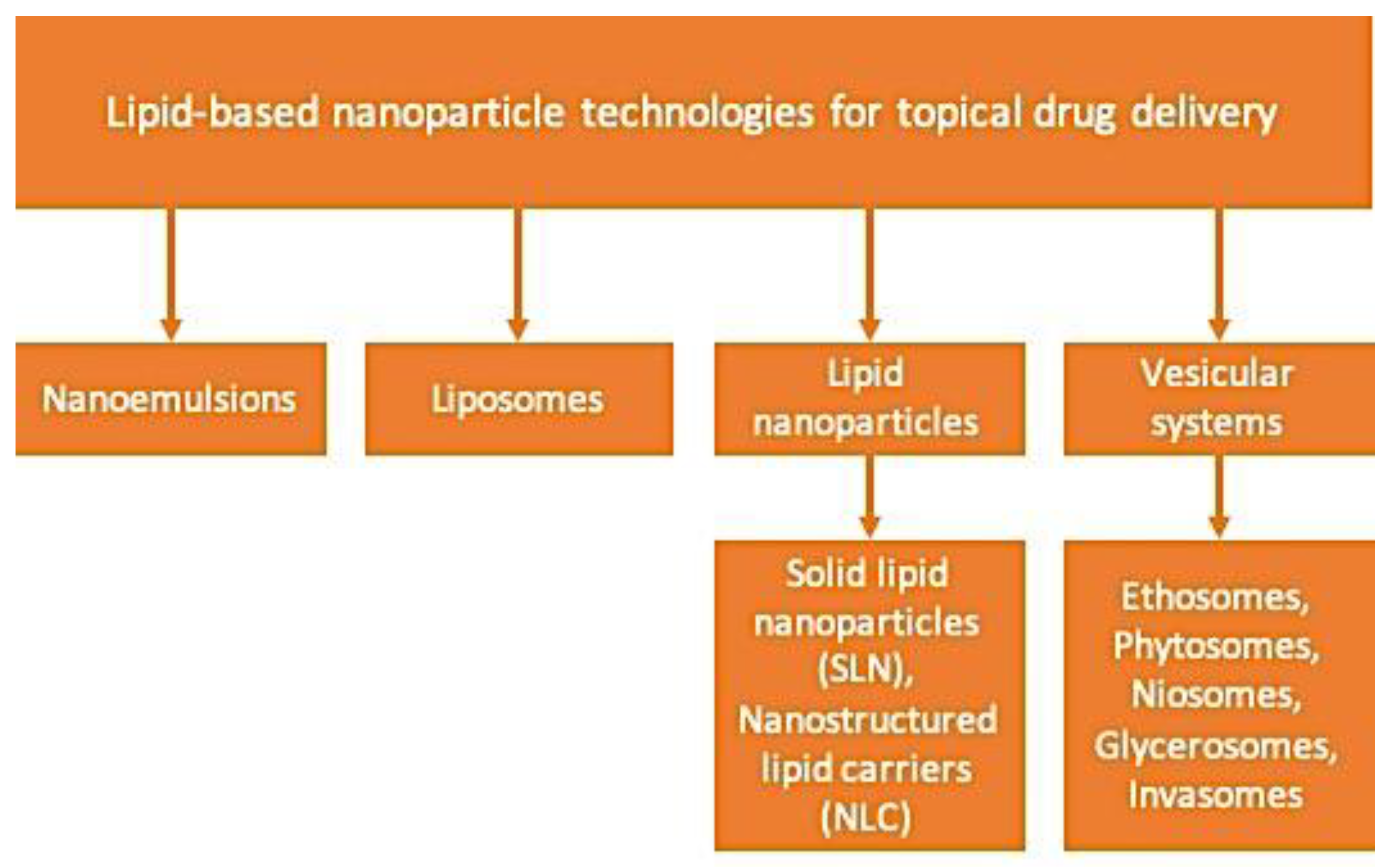 Molecules 25 05758 g003 Molecules 25 05758 g003