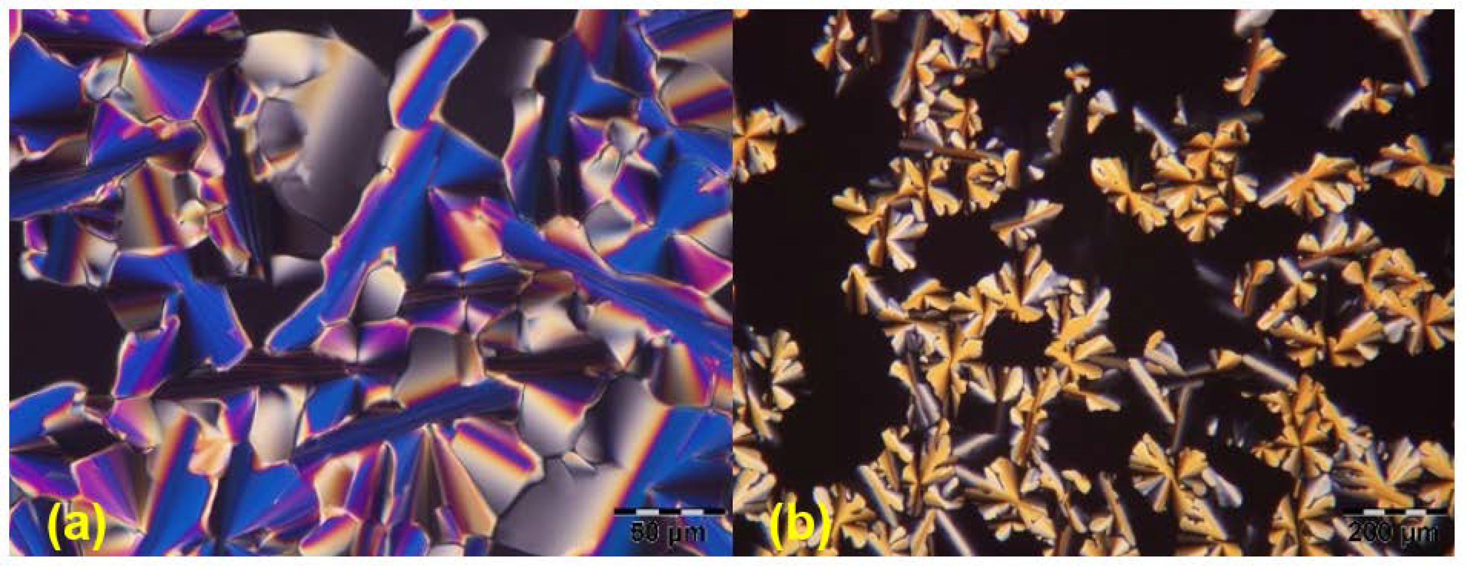 Molecules 25 05761 g006 Molecules 25 05761 g006