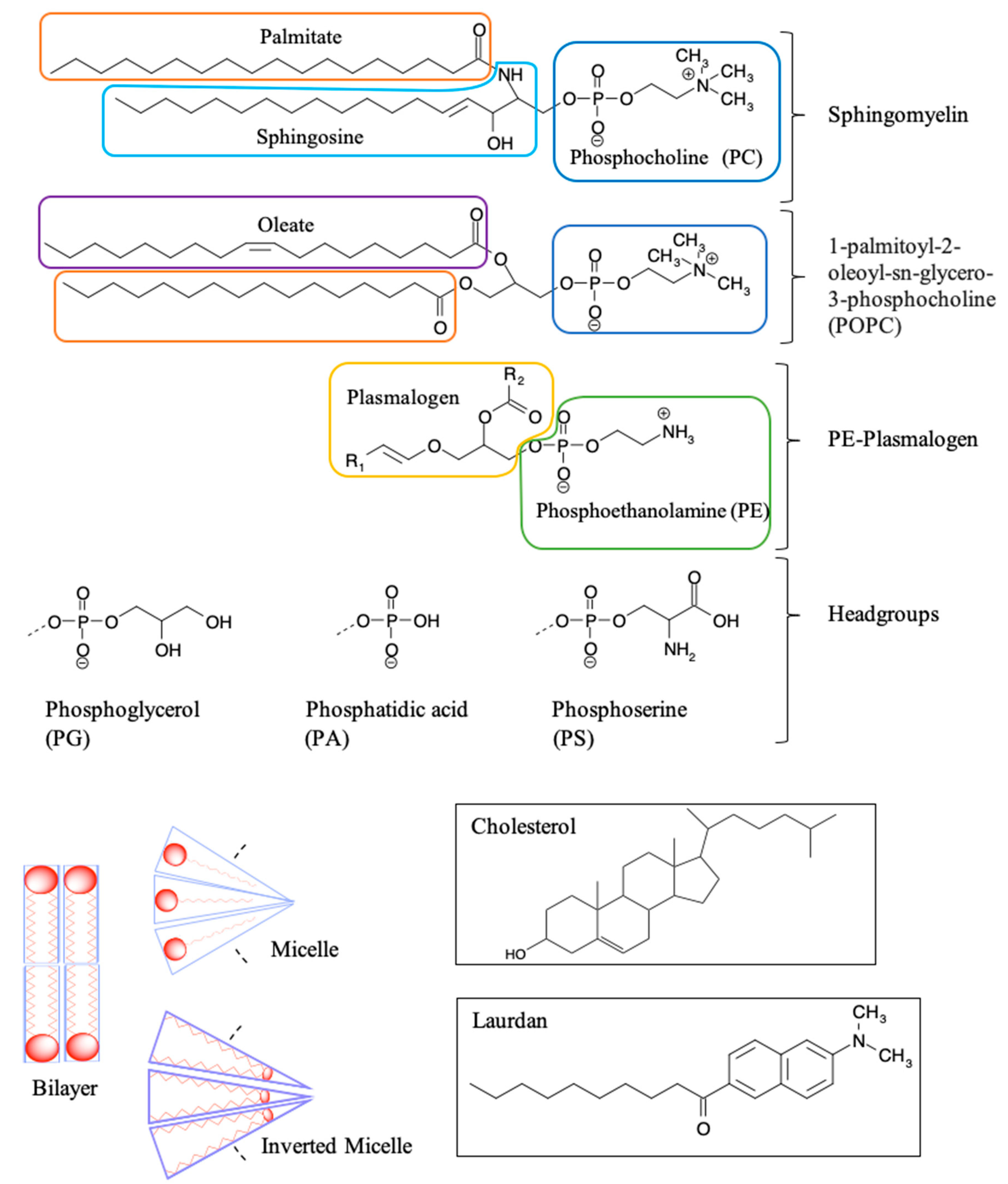 Molecules 25 05762 g006