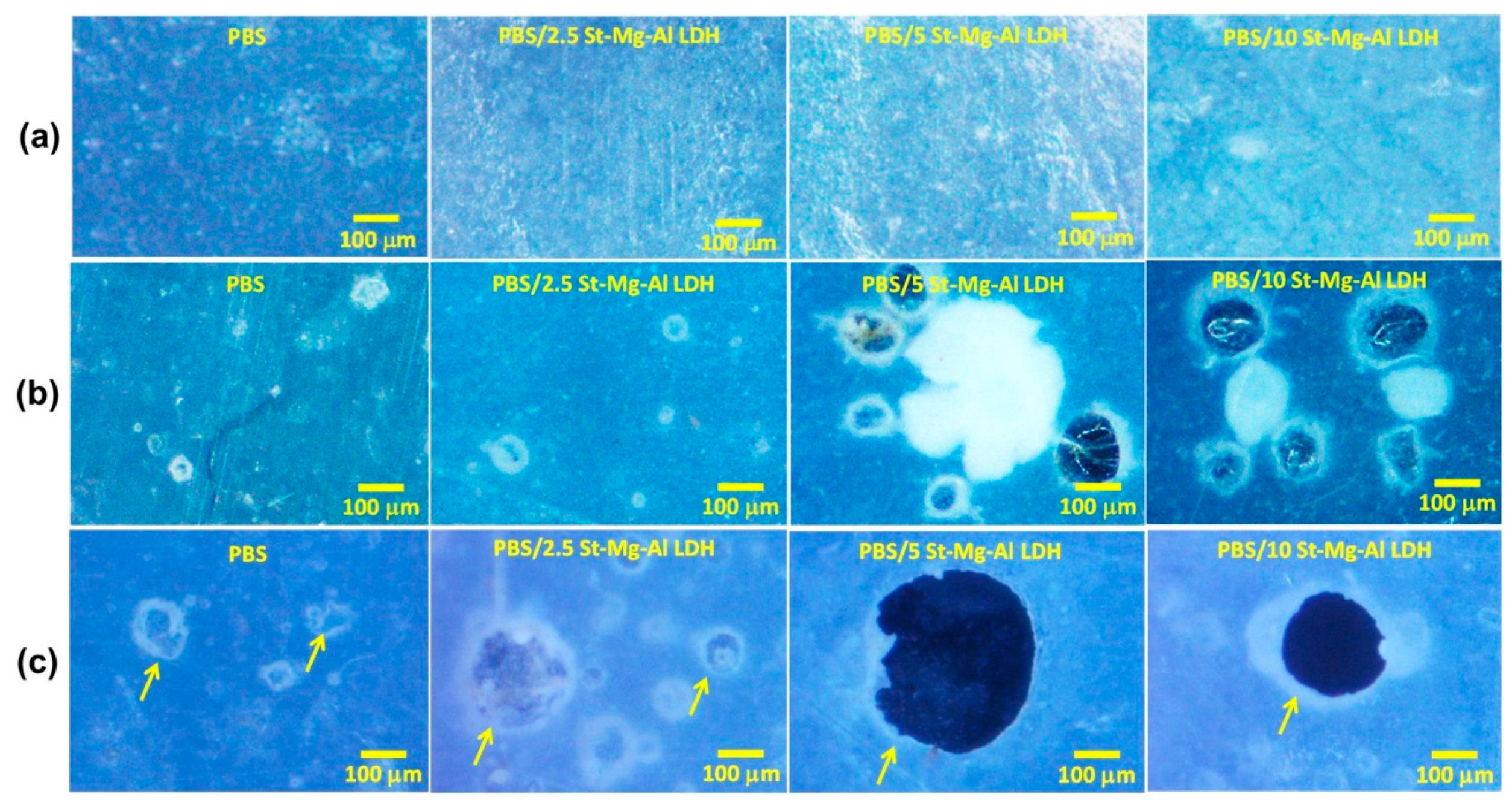 Molecules 25 05766 g005 Molecules 25 05766 g005