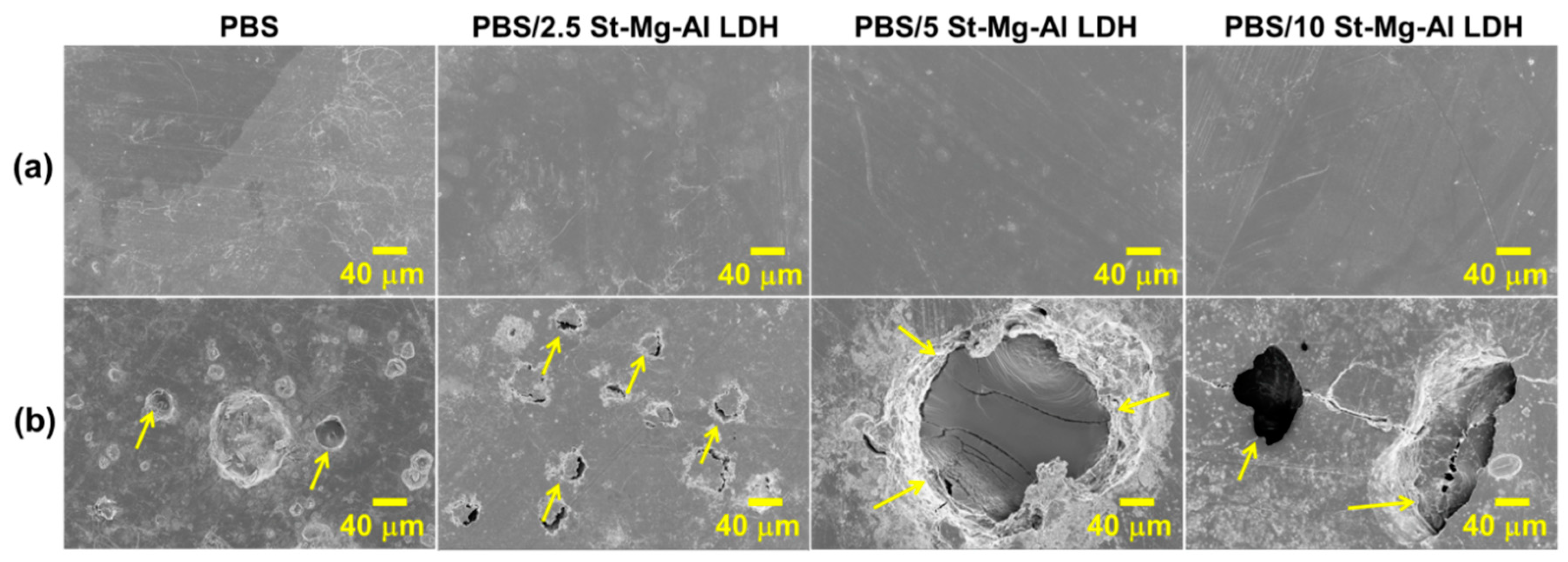 Molecules 25 05766 g006 Molecules 25 05766 g006