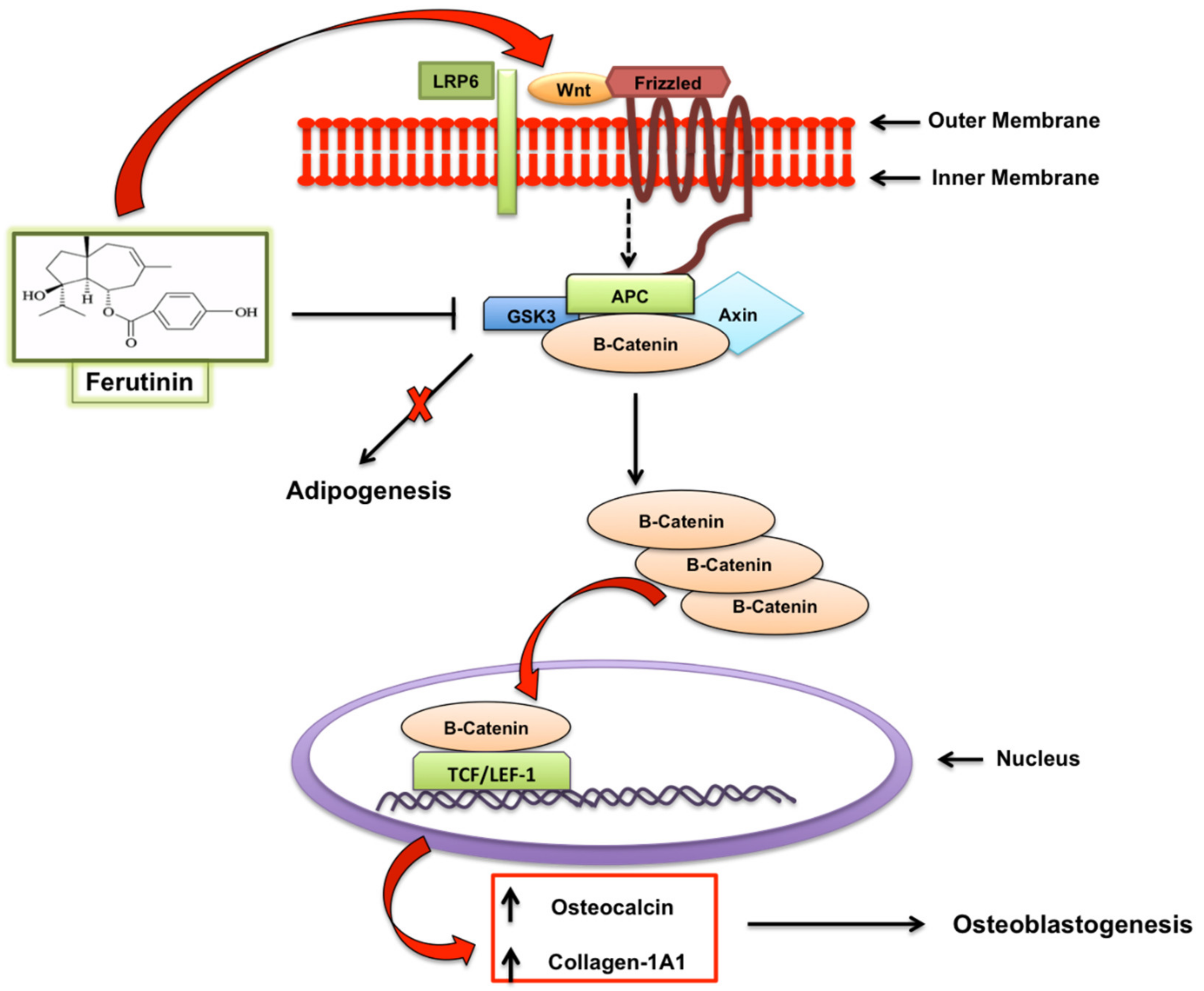 Molecules 25 05768 g002 Molecules 25 05768 g002