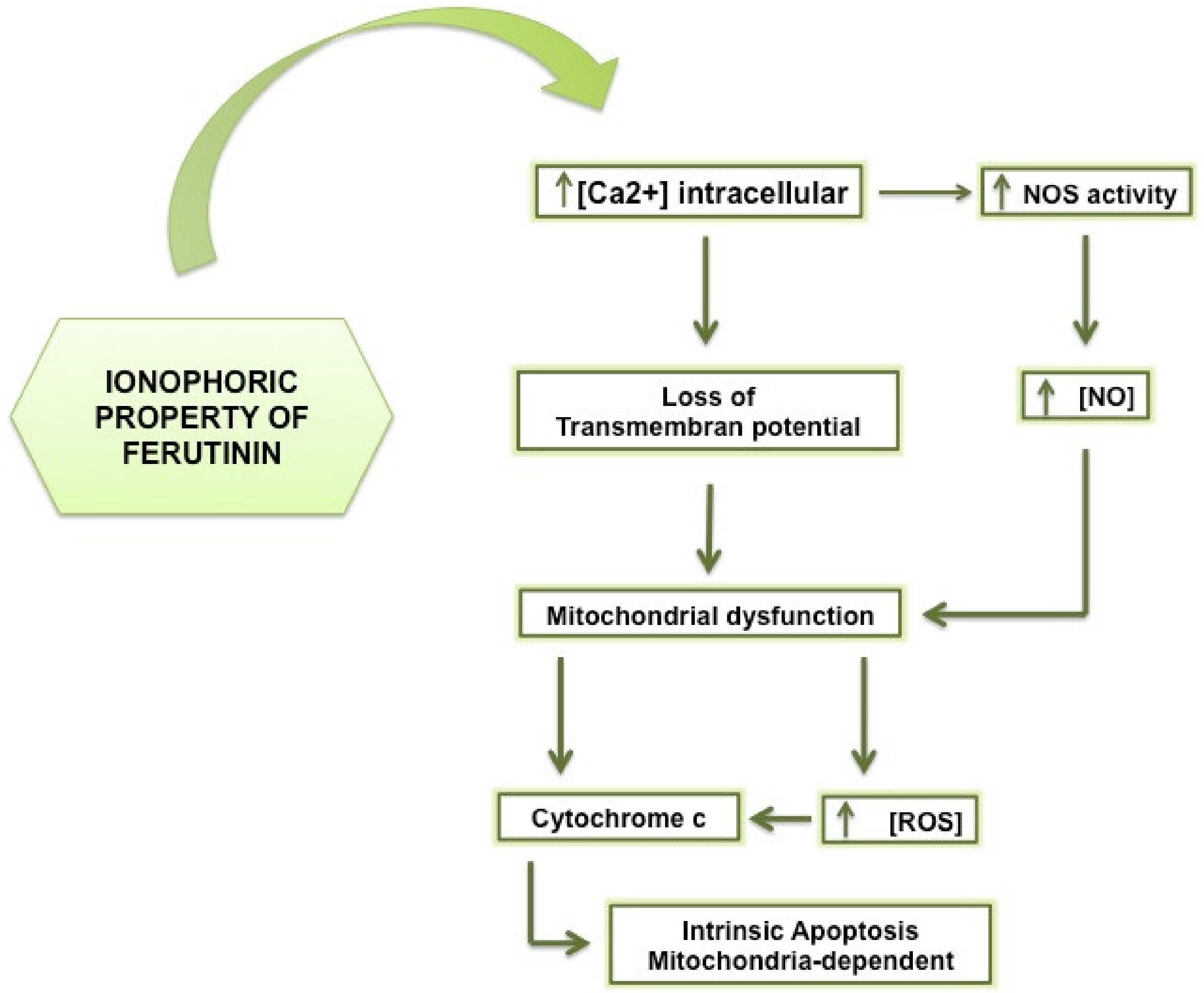 Molecules 25 05768 g003 Molecules 25 05768 g003