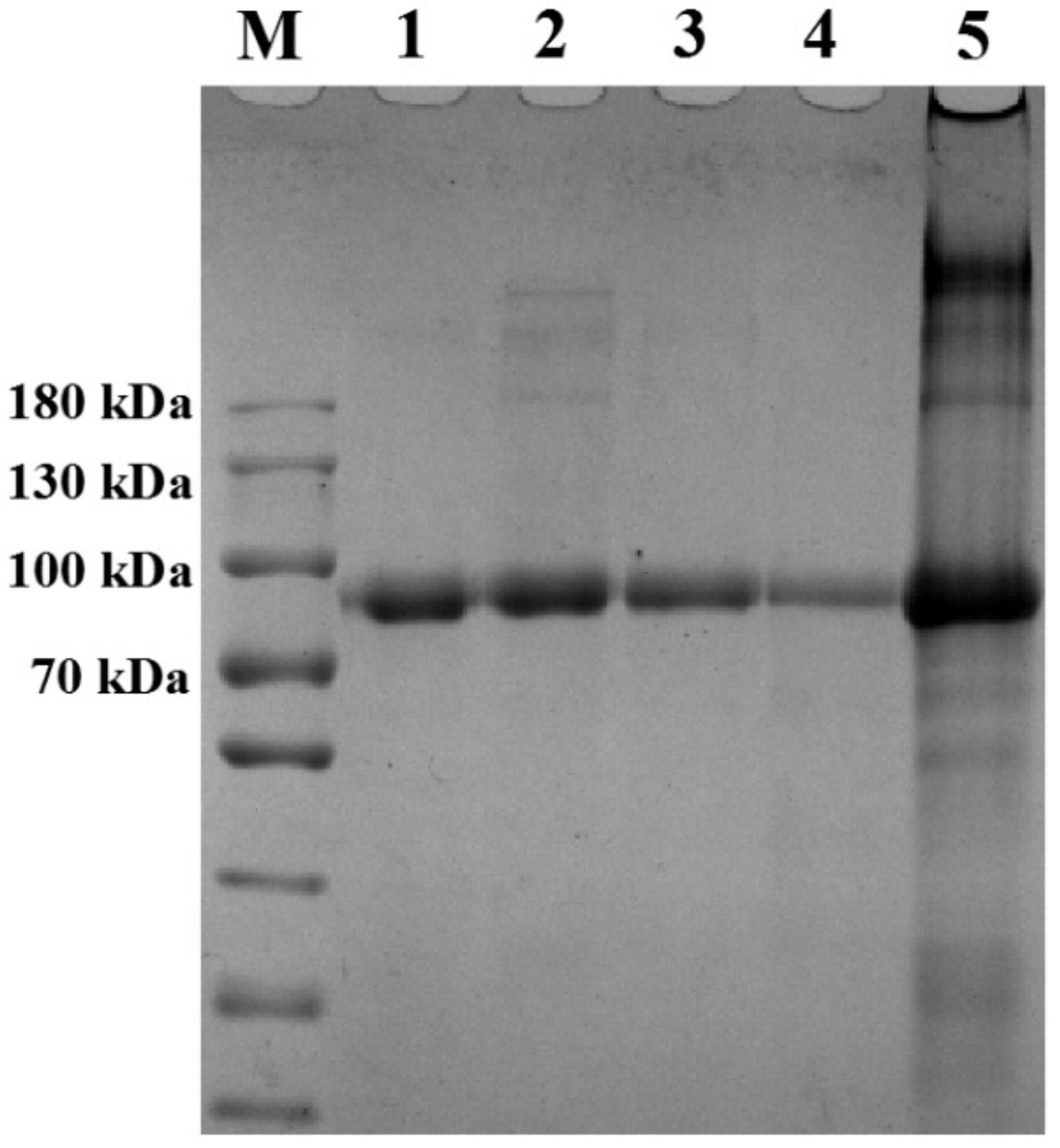 Molecules 25 05774 g002