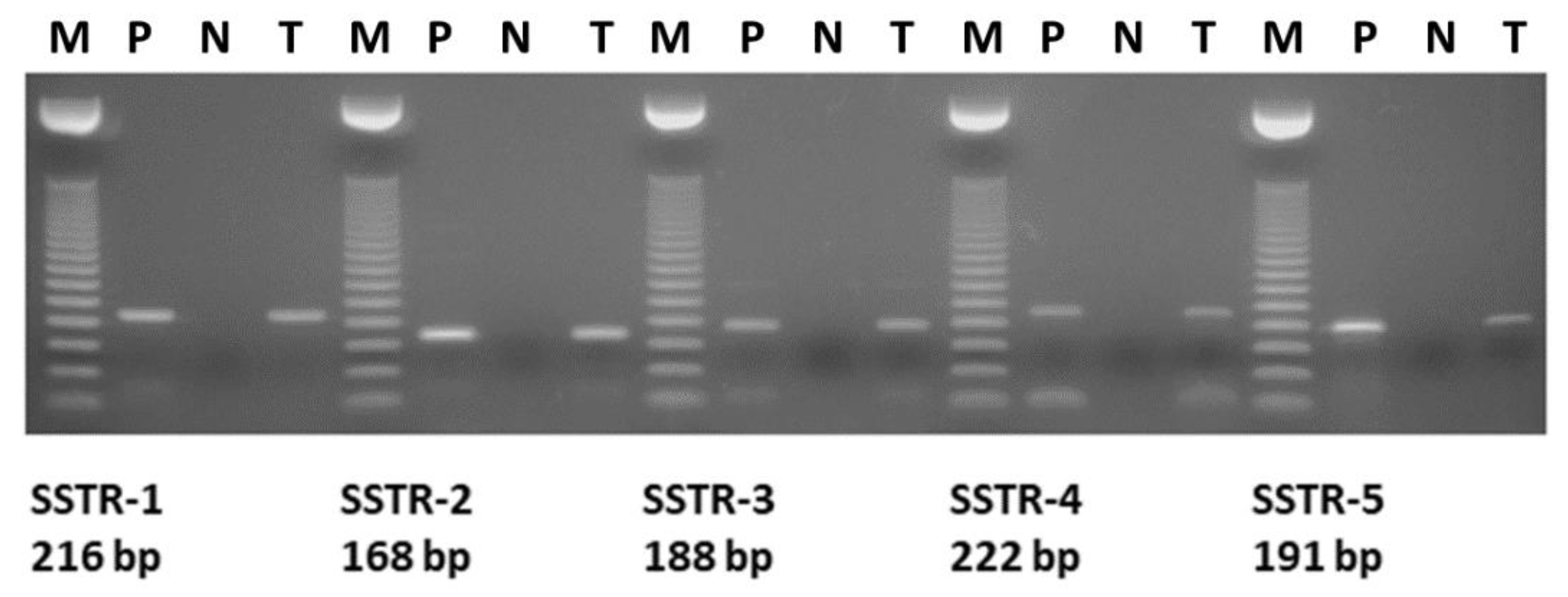 Molecules 25 05775 g001 Molecules 25 05775 g001