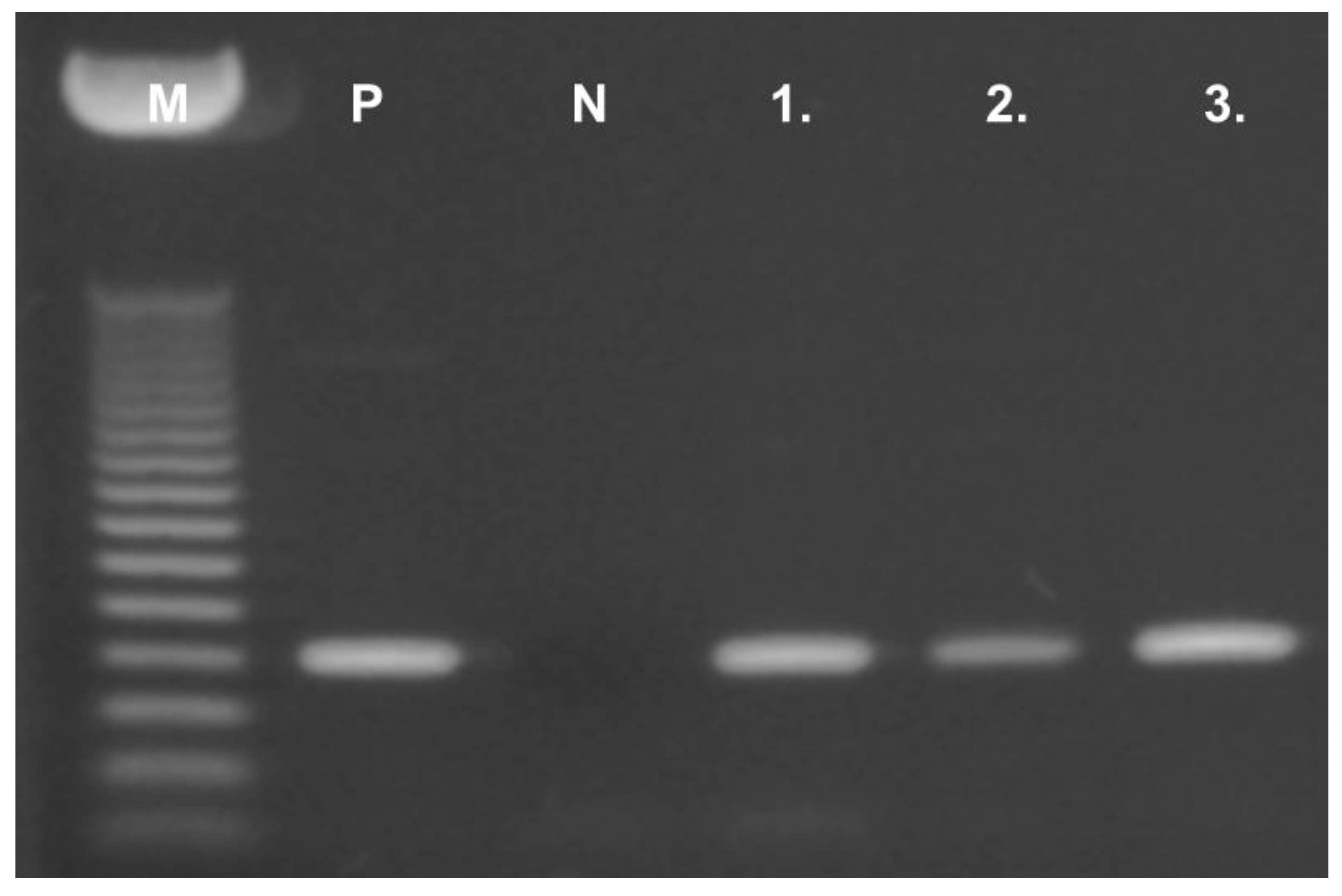 Molecules 25 05775 g002 Molecules 25 05775 g002