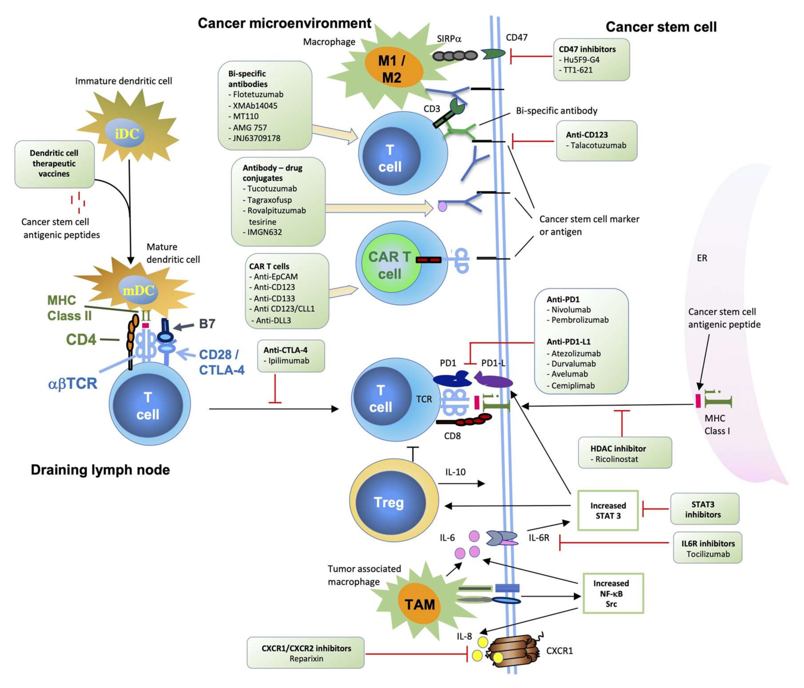 Molecules 25 05776 g004 Molecules 25 05776 g004