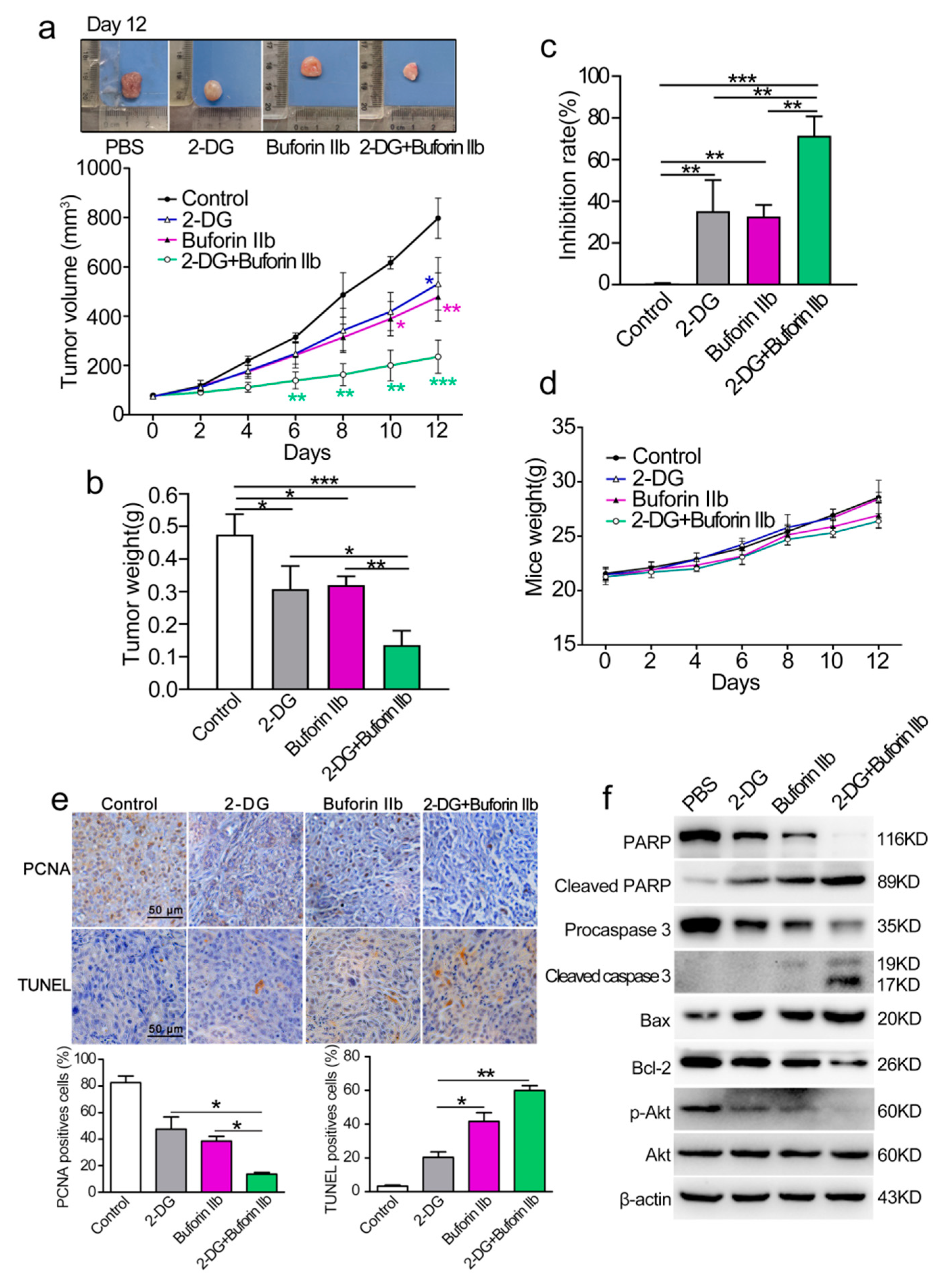 Molecules 25 05778 g007