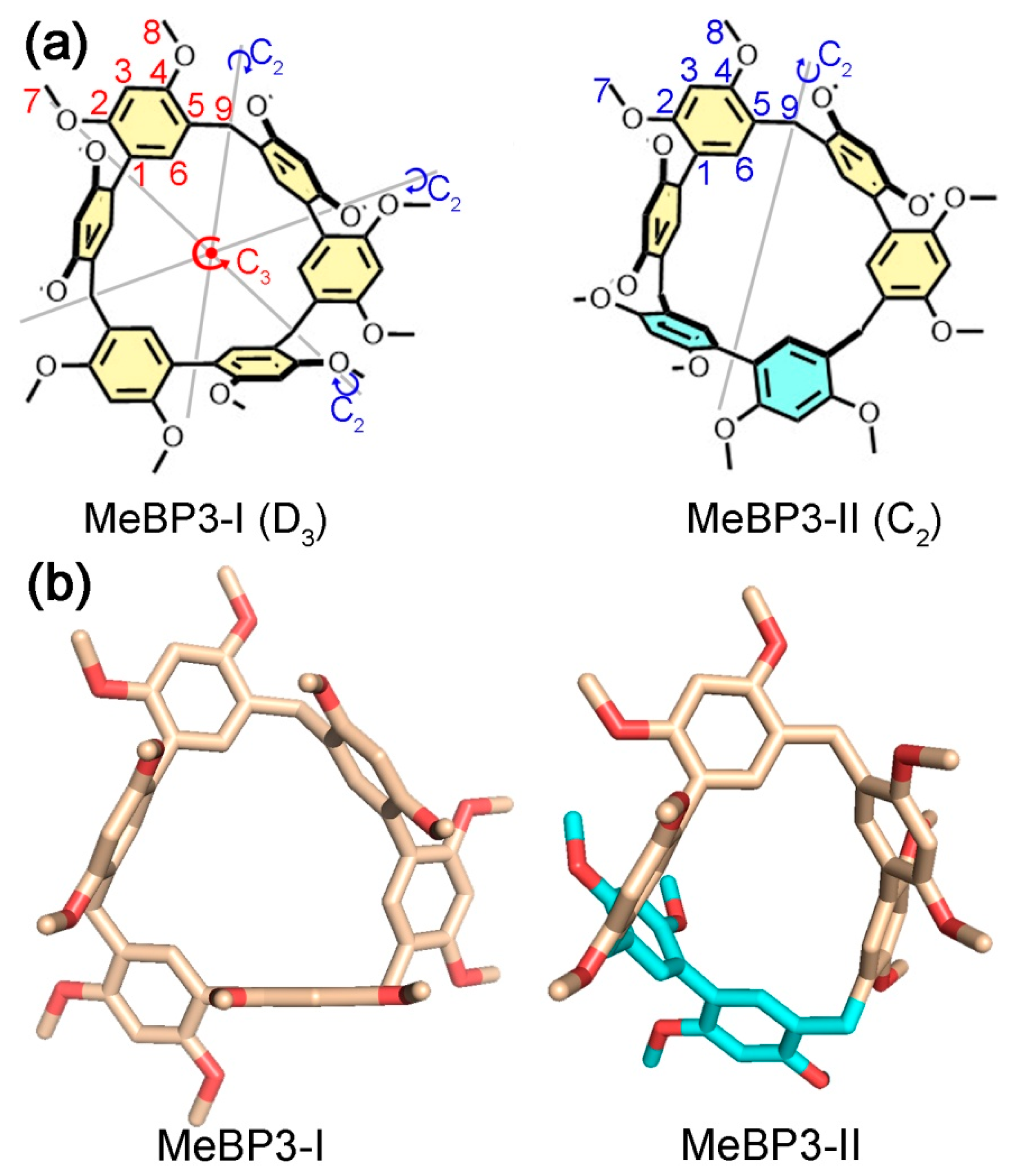 Molecules 25 05780 g001