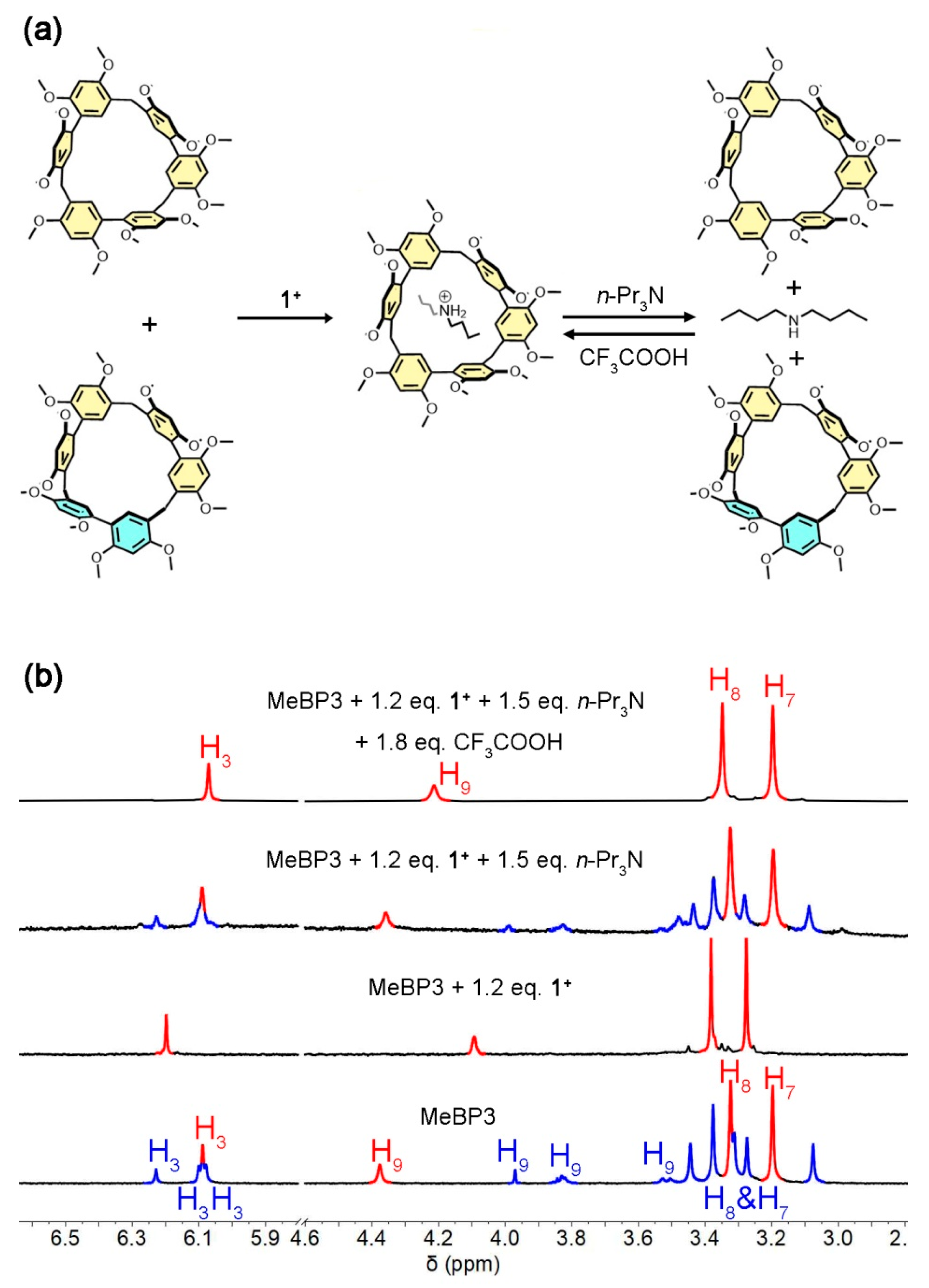 Molecules 25 05780 g005