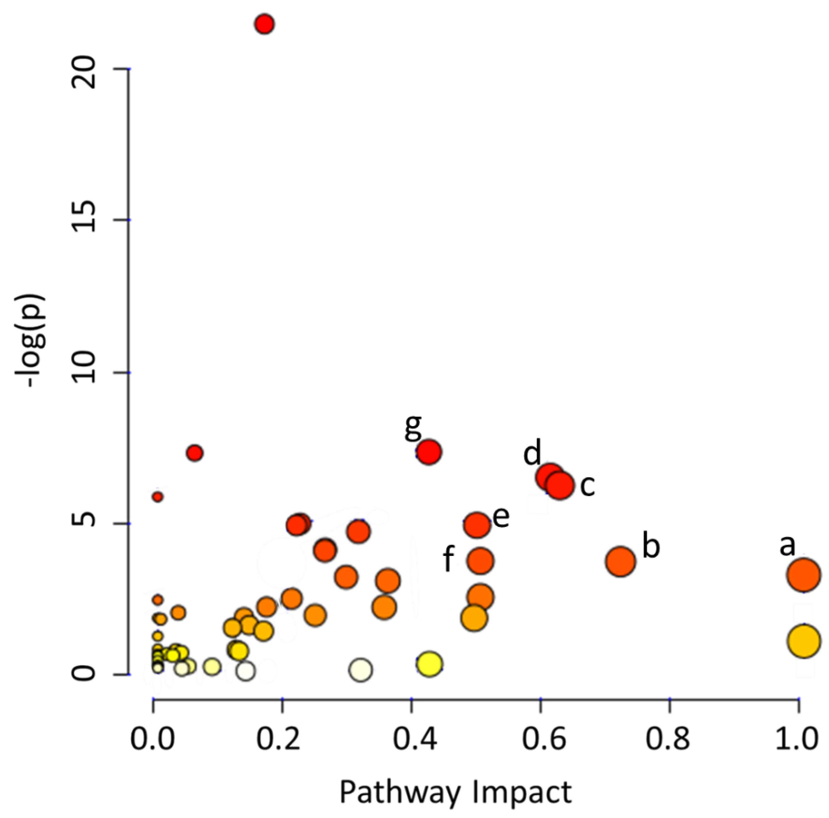 Molecules 25 05783 g004 Molecules 25 05783 g004