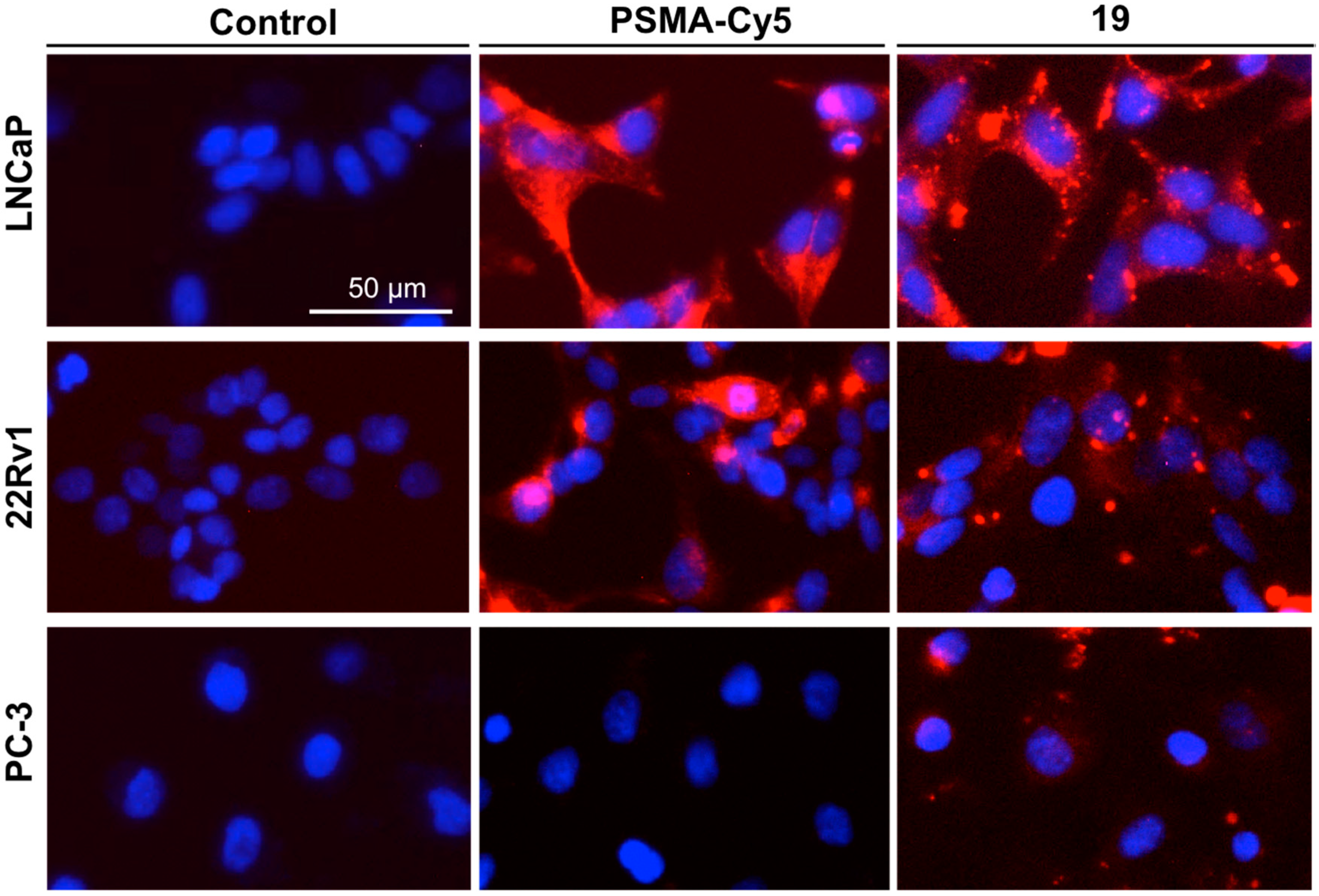 Molecules 25 05784 g002